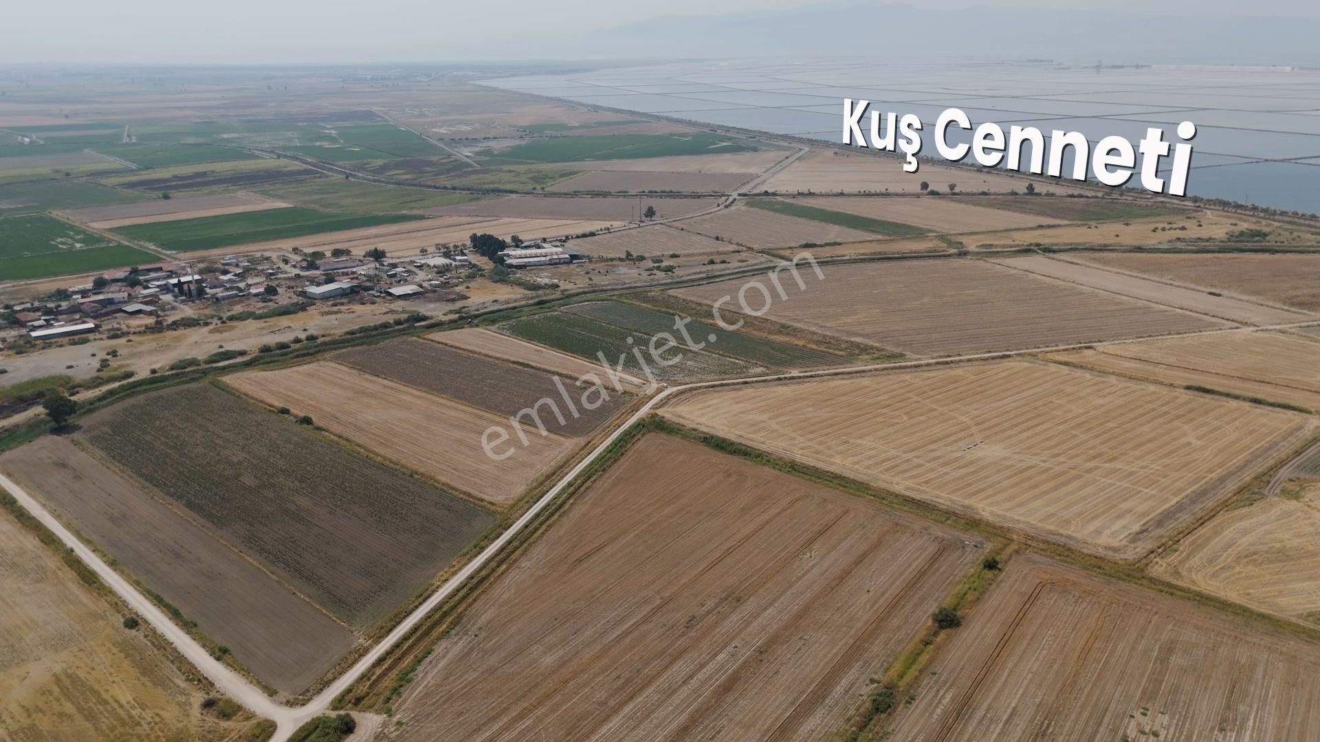 Menemen Süzbeyli'de Müstakil Tek Tapu 2934 M2 Verimli Tarla