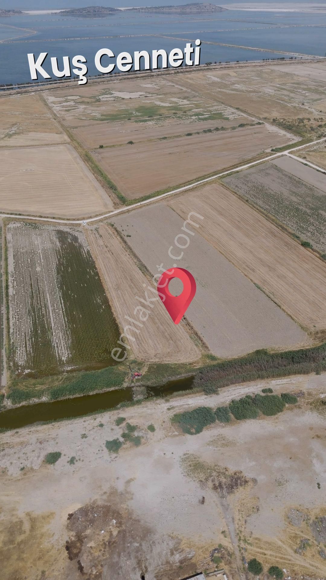 Menemen Süzbeyli'de Müstakil Tek Tapu 2934 M2 Verimli Tarla - Görsel 2