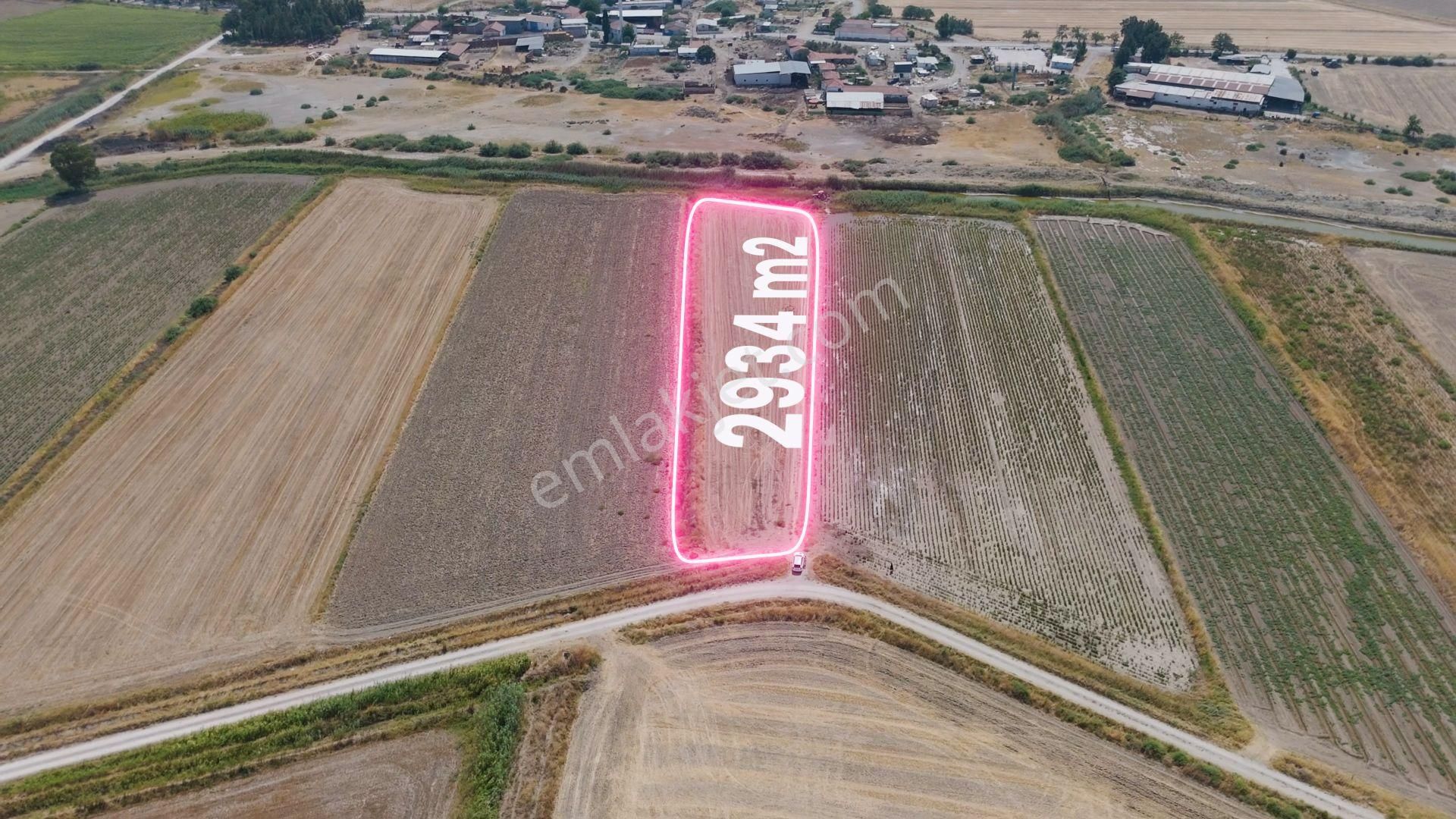 Menemen Süzbeyli'de Müstakil Tek Tapu 2934 M2 Verimli Tarla - Görsel 11