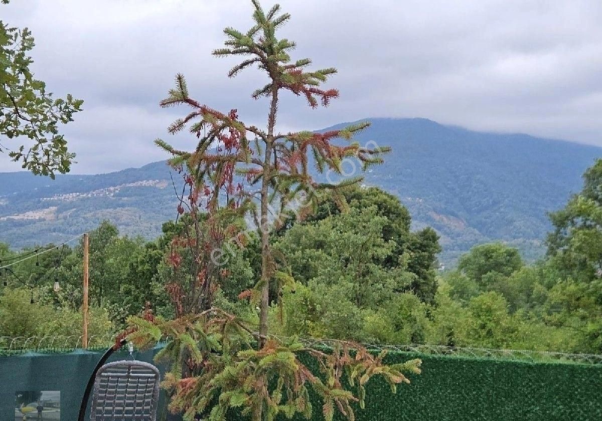 Doğa İçinde Göl Manzaralı Karavan Kampı... - Görsel 8