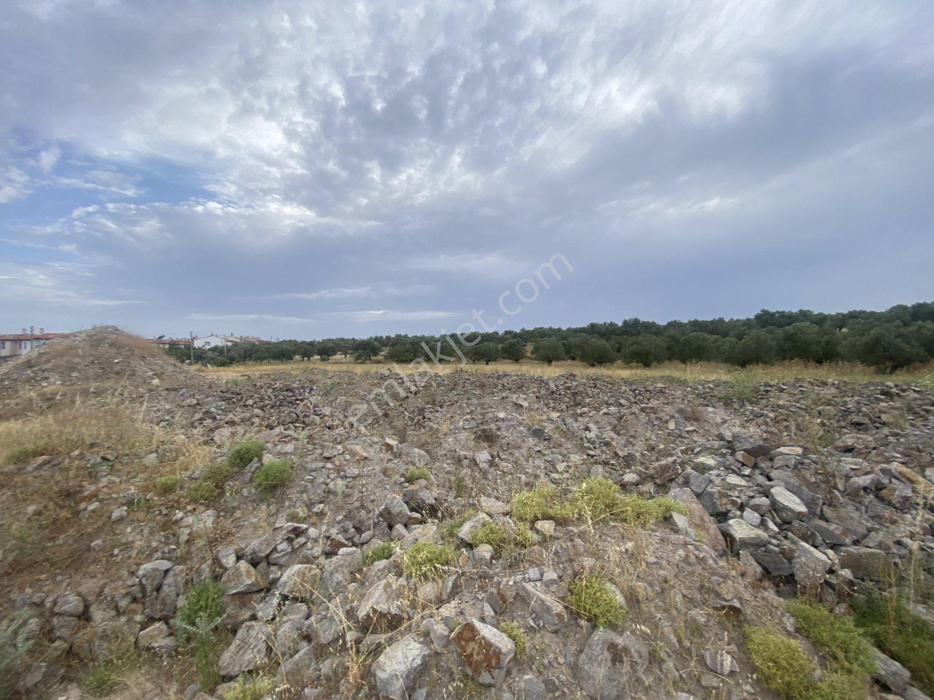 Ayvalık Sarımsaklı Da Satılık 12.000 Metre Kare Villa İmarlı Arsa - Görsel 8