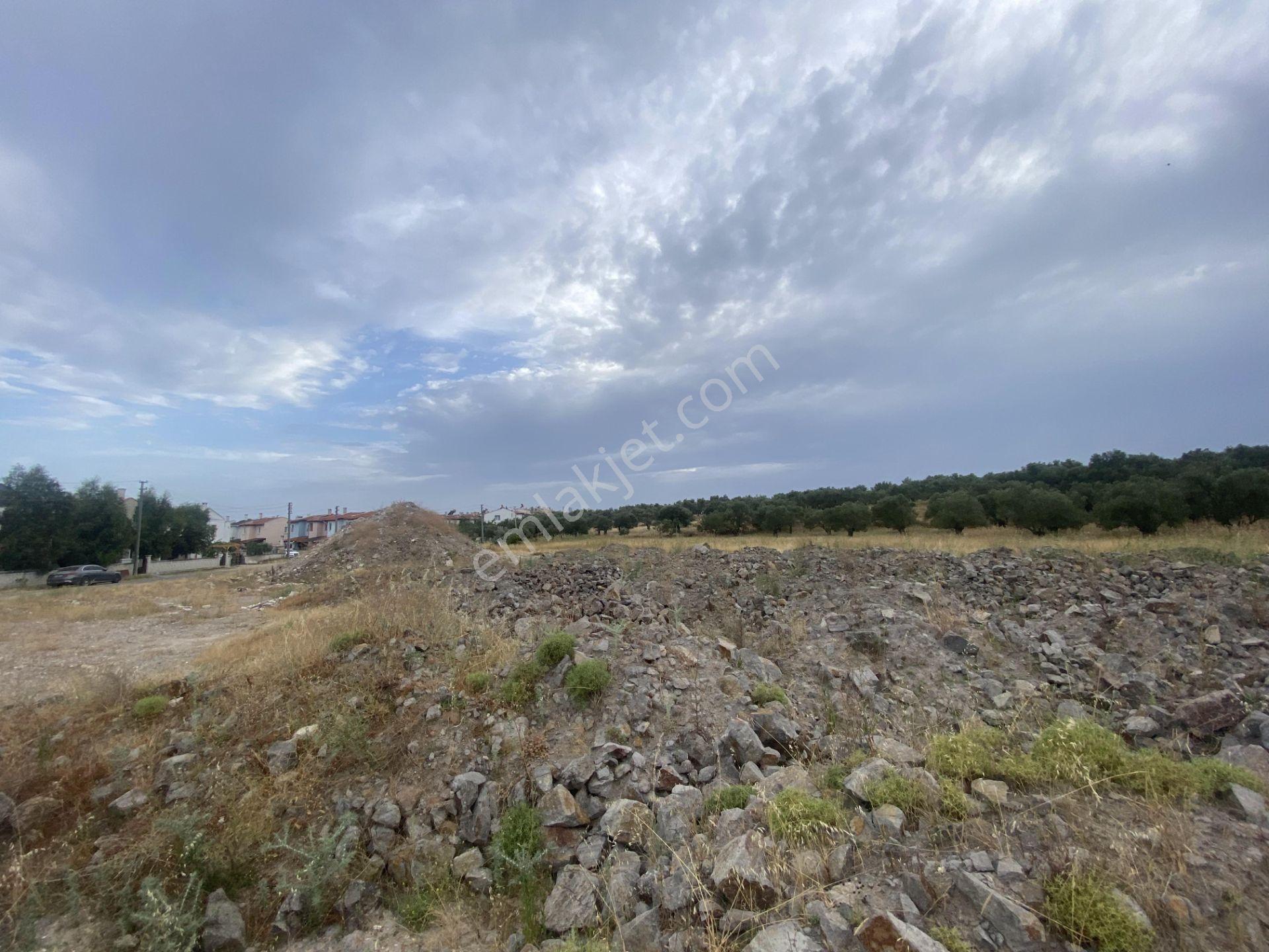 Ayvalık Sarımsaklı Da Satılık 12.000 Metre Kare Villa İmarlı Arsa - Görsel 5