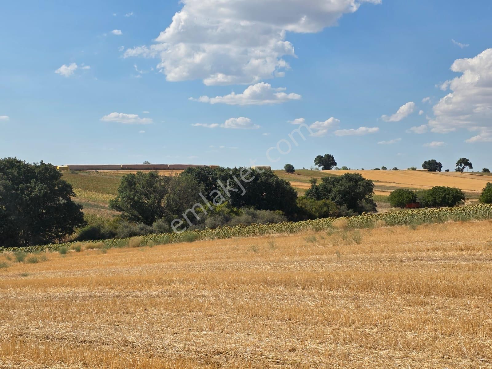 Edirne Havsa Azatlı Satılık 415m2 Fırsat Hisseli Parseller