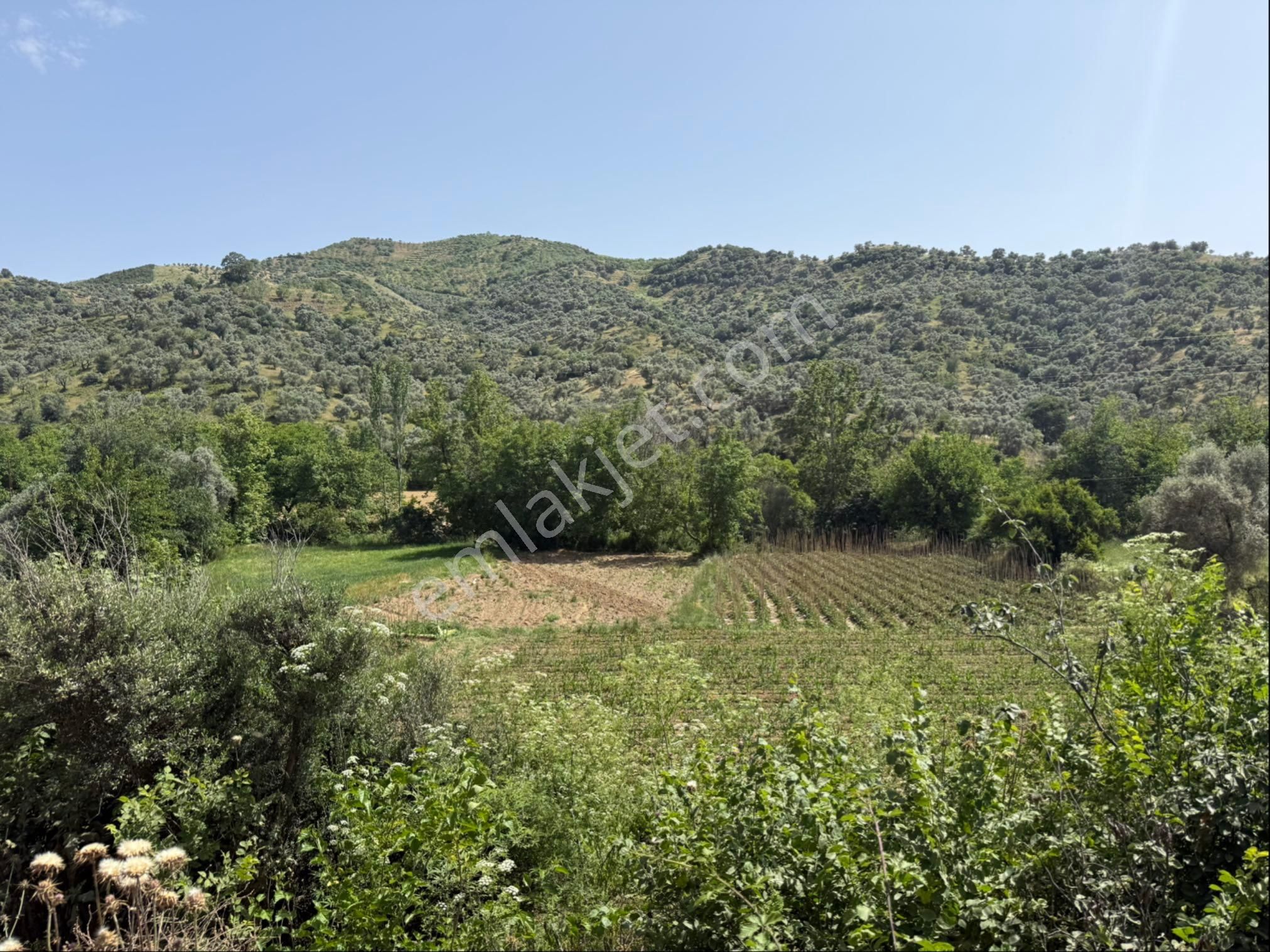 Pek Emlaktan Su Kuyusu Olan Muhteşen Bir Bahçe - Görsel 9