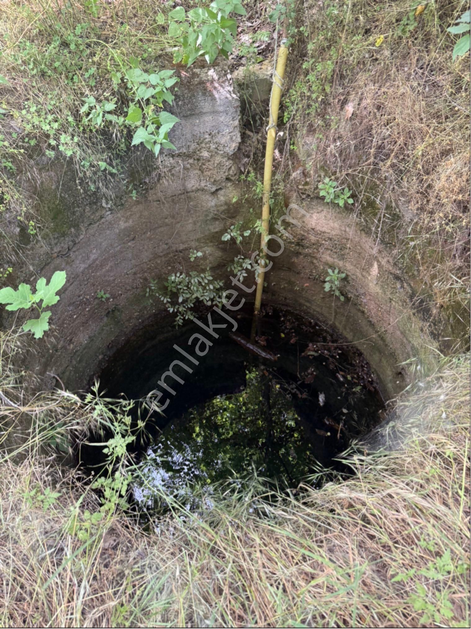 Pek Emlaktan Su Kuyusu Olan Muhteşen Bir Bahçe
