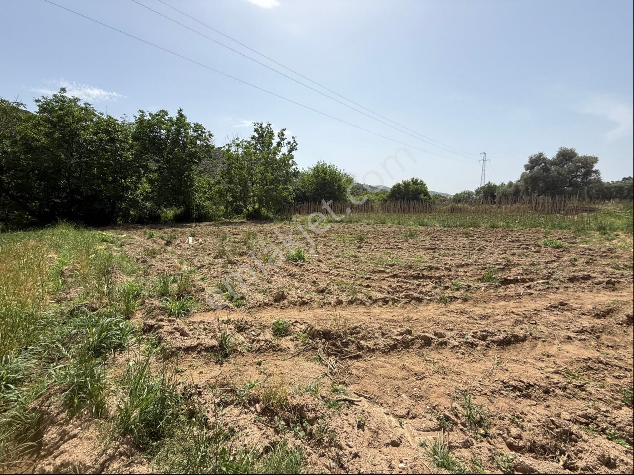 Pek Emlaktan Su Kuyusu Olan Muhteşen Bir Bahçe - Görsel 3