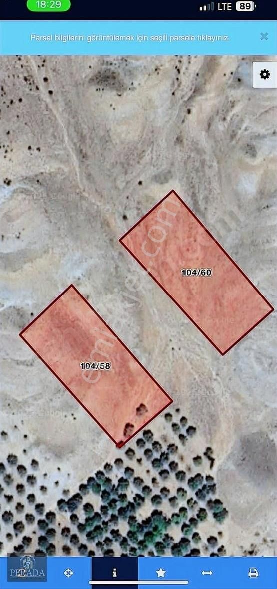 Malatya Kuluncak Bayırardı 2 Ayrı Parselde 11175m2 Verimli Tarla