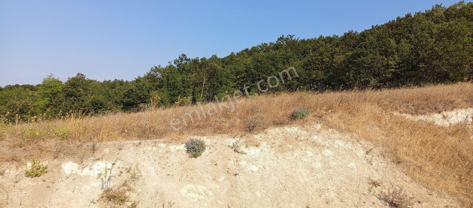 Bursa Nilüfer Badirga Mahallesi Satılık 3.250 Mt Tarla - Görsel 3