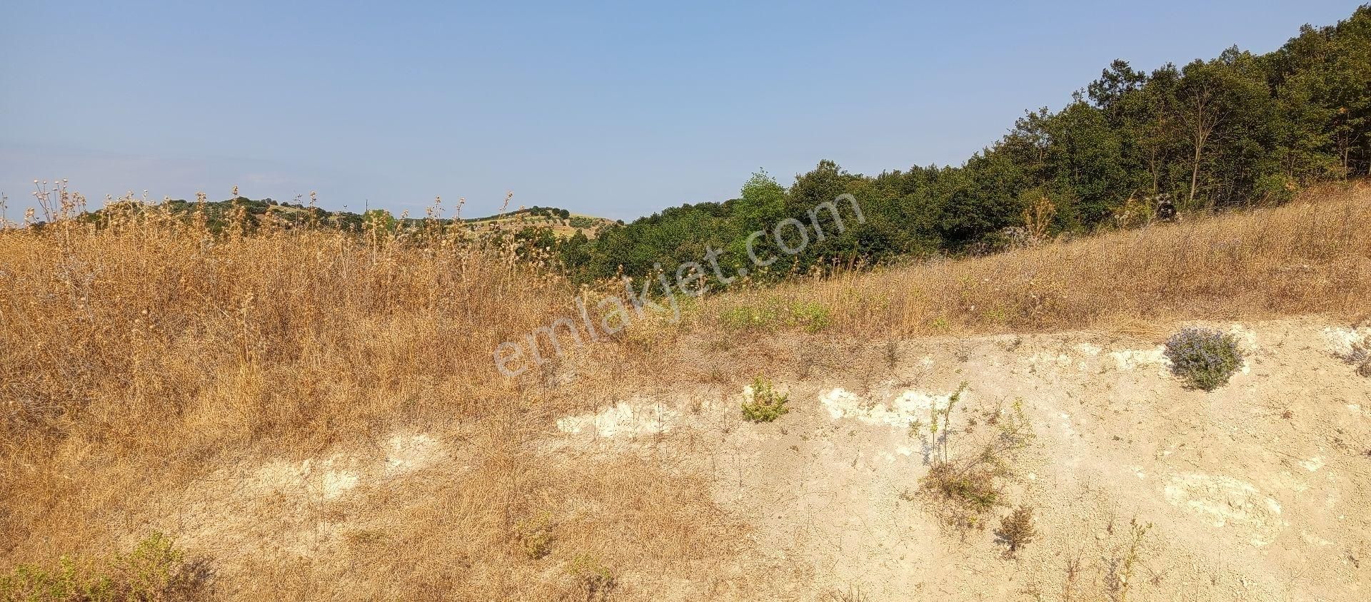 Bursa Nilüfer Badirga Mahallesi Satılık 3.250 Mt Tarla - Görsel 2