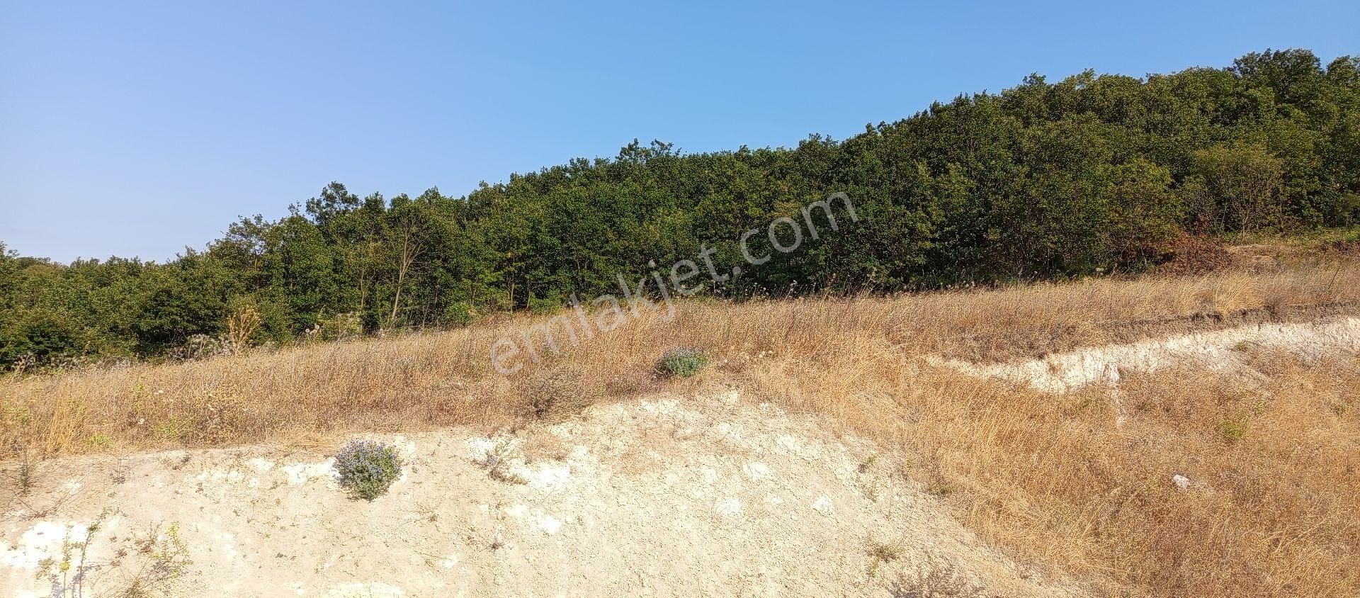 Bursa Nilüfer Badirga Mahallesi Satılık 3.250 Mt Tarla - Görsel 5