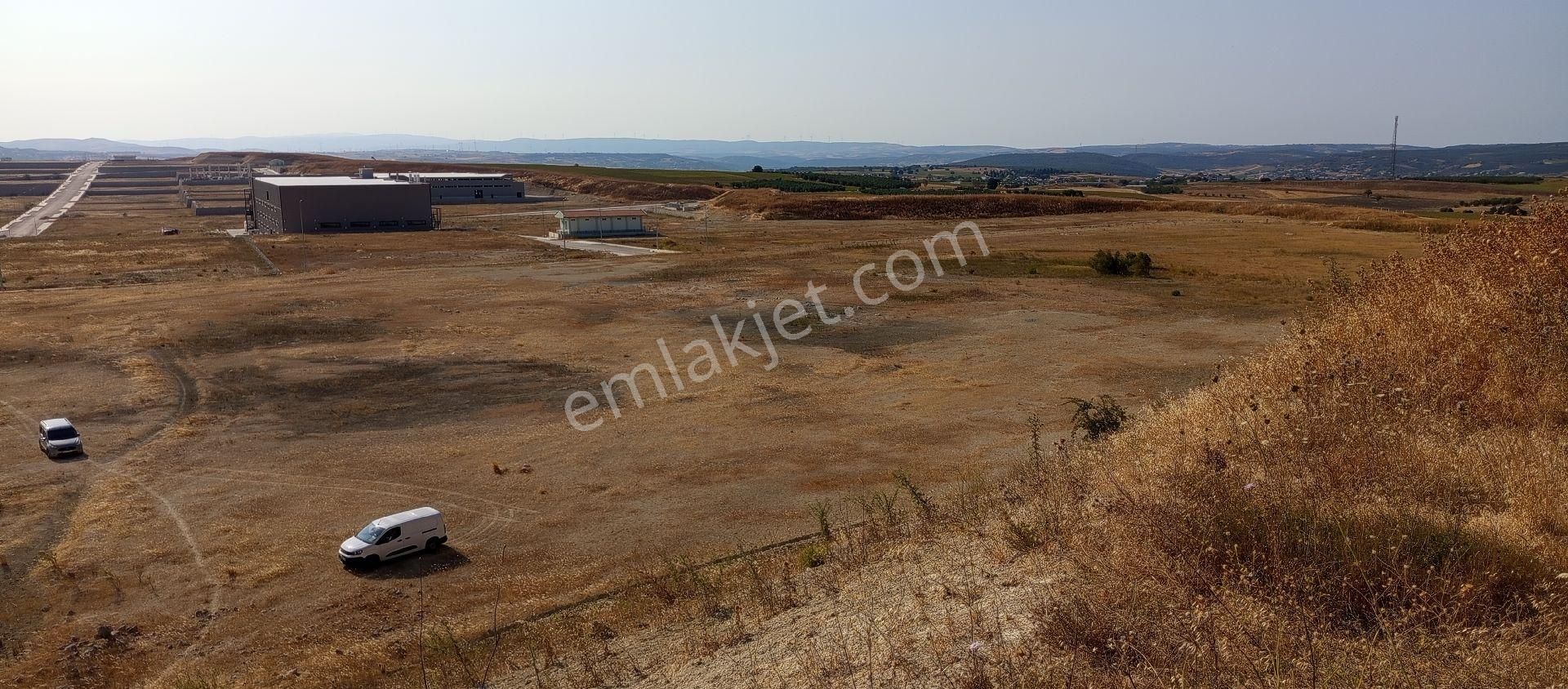 Bursa Nilüfer Badirga Mahallesi Satılık 3.250 Mt Tarla - Görsel 12