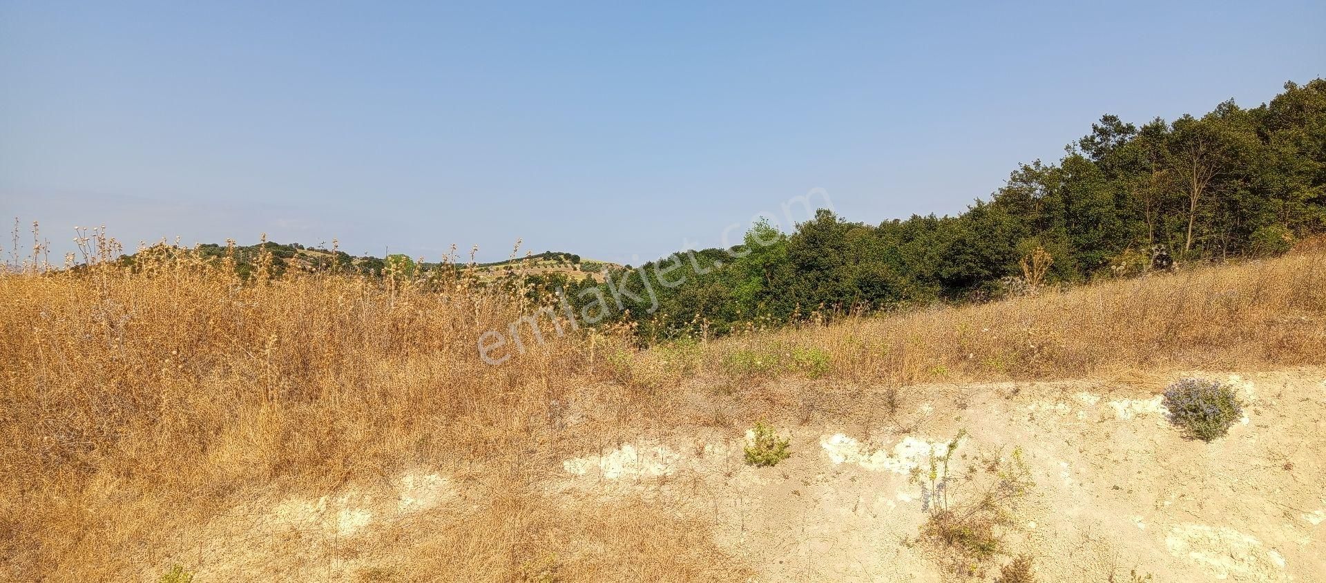 Bursa Nilüfer Badirga Mahallesi Satılık 3.250 Mt Tarla - Görsel 6