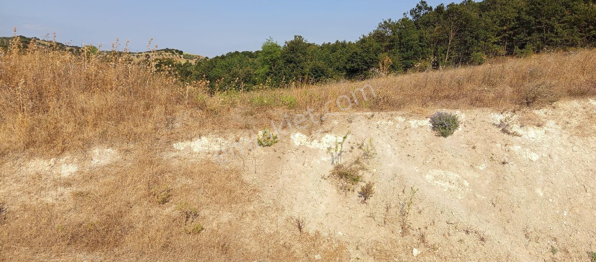 Bursa Nilüfer Badirga Mahallesi Satılık 3.250 Mt Tarla - Görsel 9