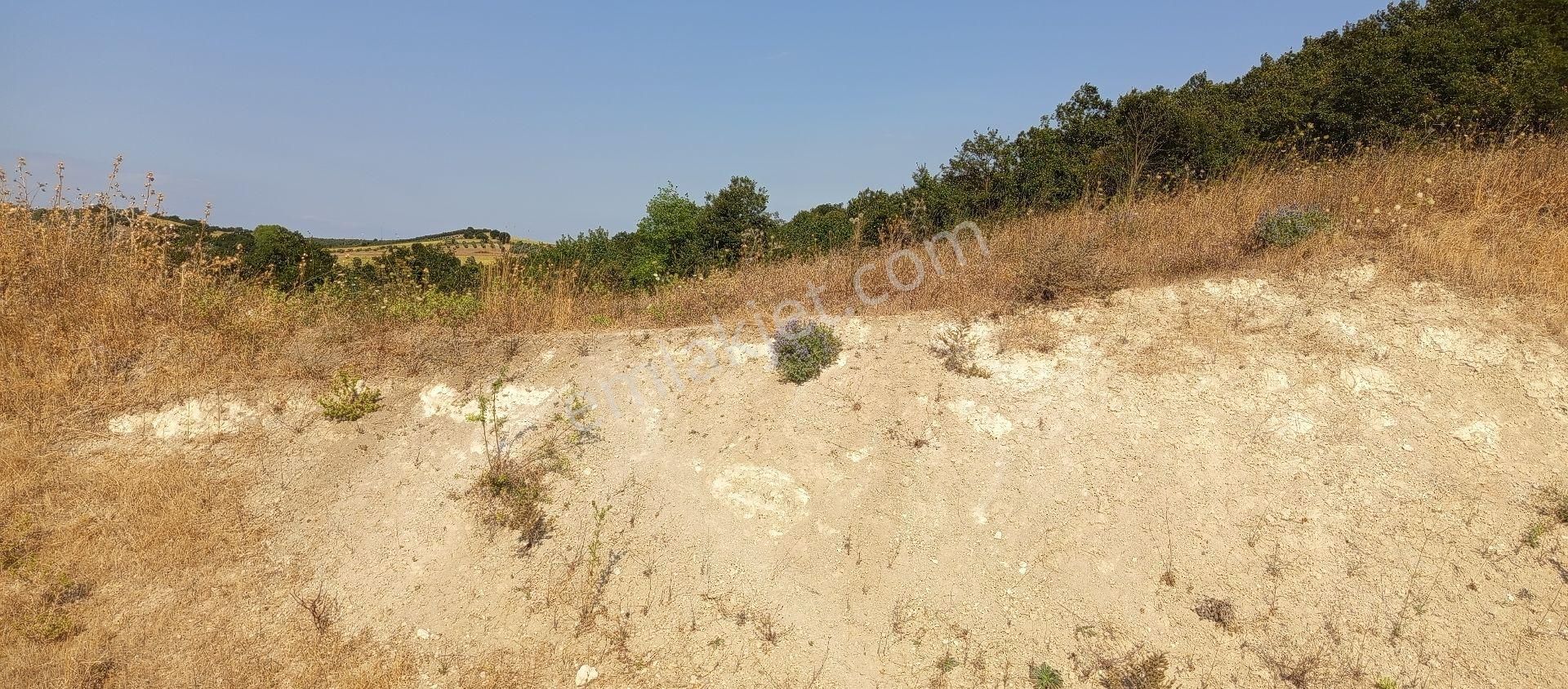 Bursa Nilüfer Badirga Mahallesi Satılık 3.250 Mt Tarla - Görsel 15