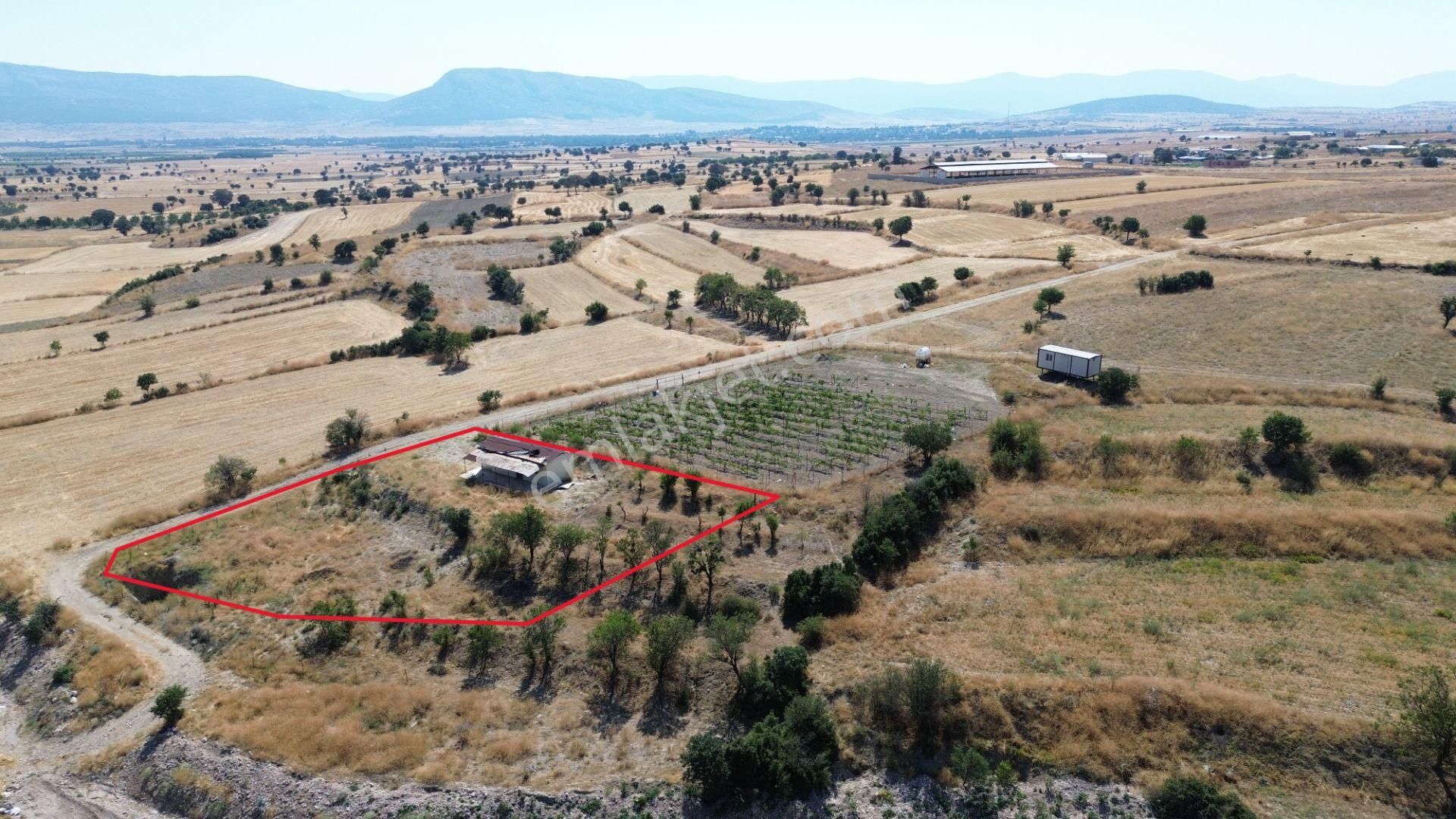 Antalya Korkuteli Yeltende 1535 M2 Yelten Merkezi Konumunda Bütün İmkanlara Yakın Ticari Arsa - Görsel 7