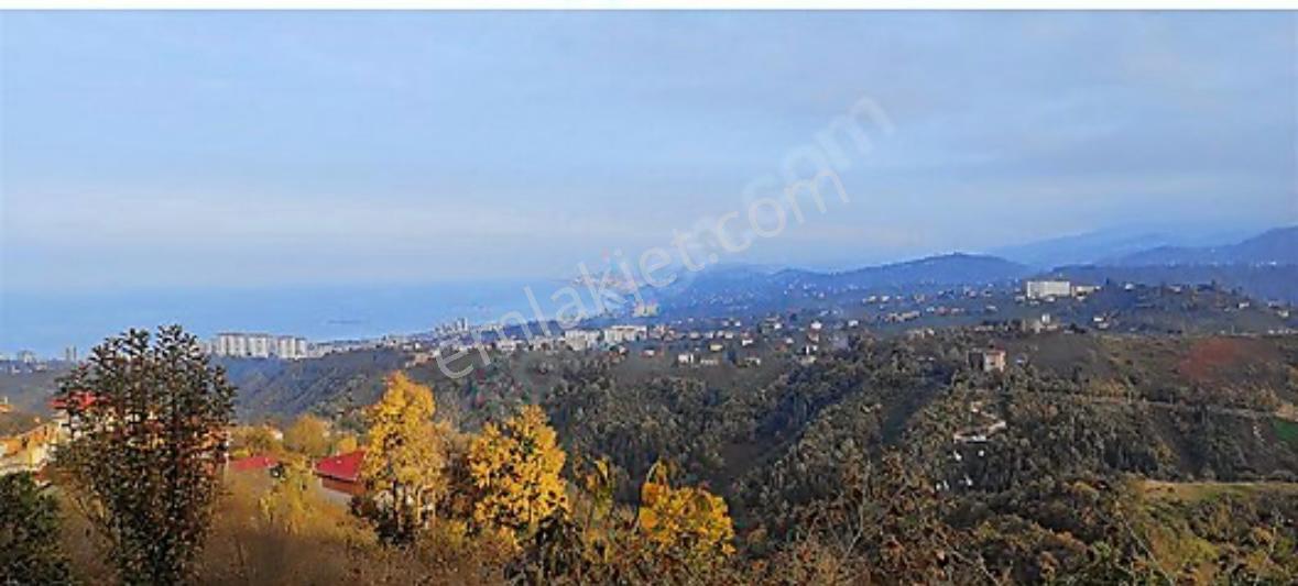 Kavala Da Yatırımlık Arsa - Görsel 5