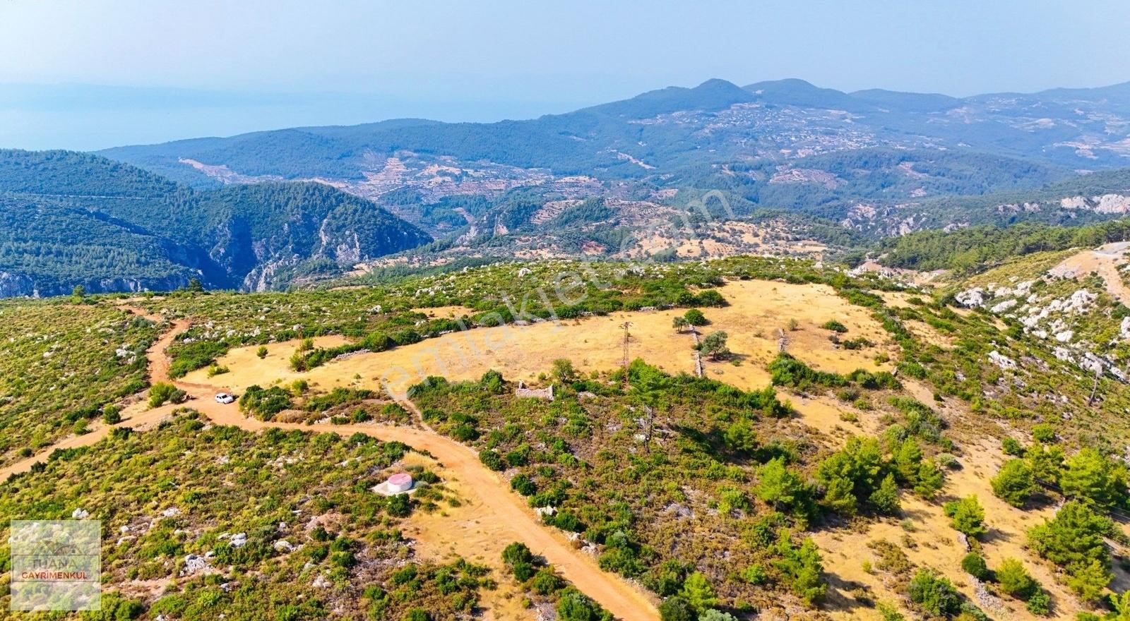 Tuana Gayrimenkul'den Menteşe Zeytinköy'de 12711m² Tarla - Görsel 15