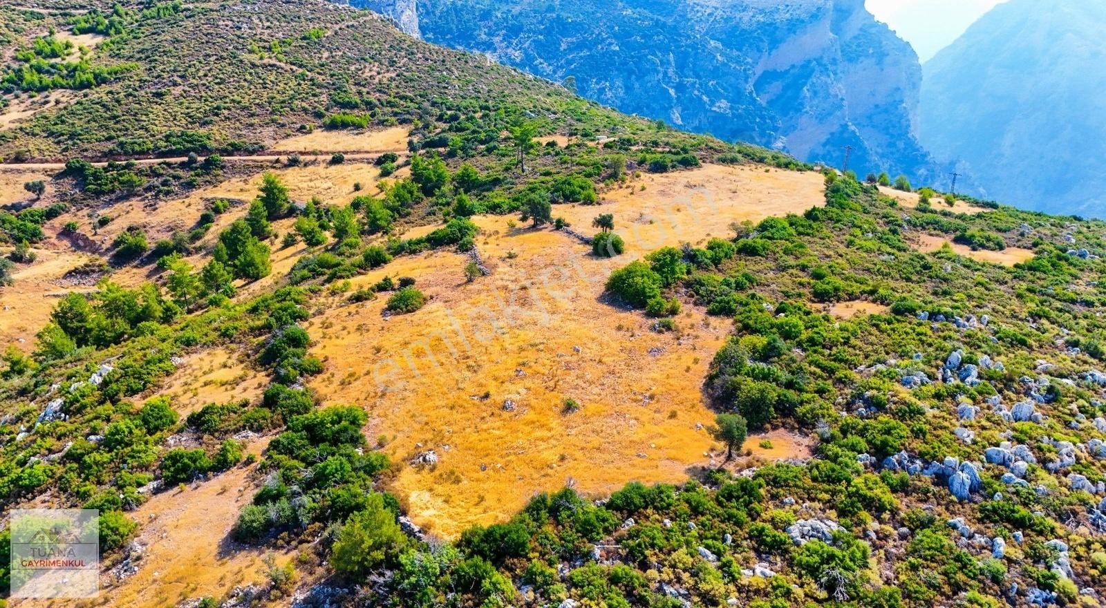 Tuana Gayrimenkul'den Menteşe Zeytinköy'de 12711m² Tarla - Görsel 13