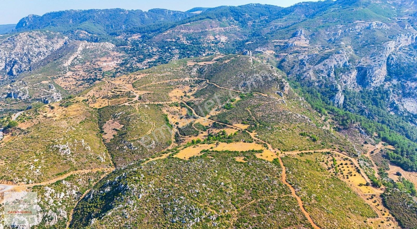 Tuana Gayrimenkul'den Menteşe Zeytinköy'de 12711m² Tarla - Görsel 7