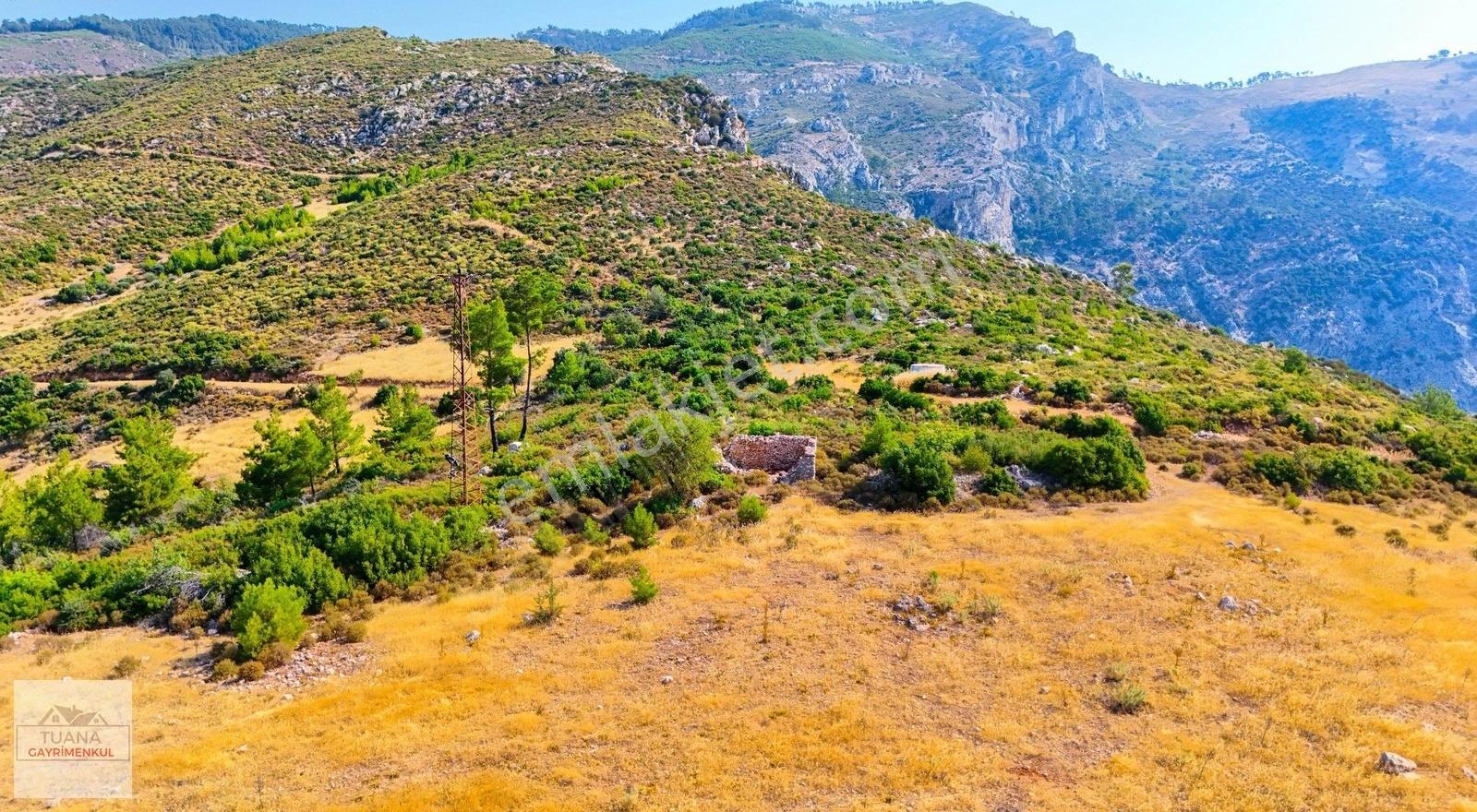 Tuana Gayrimenkul'den Menteşe Zeytinköy'de 12711m² Tarla - Görsel 24