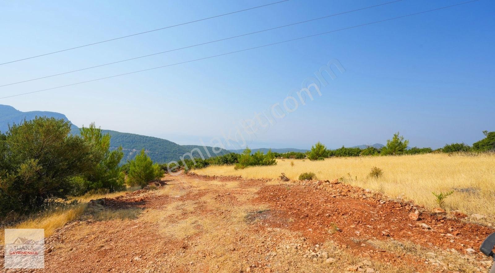 Tuana Gayrimenkul'den Menteşe Zeytinköy'de 12711m² Tarla - Görsel 23