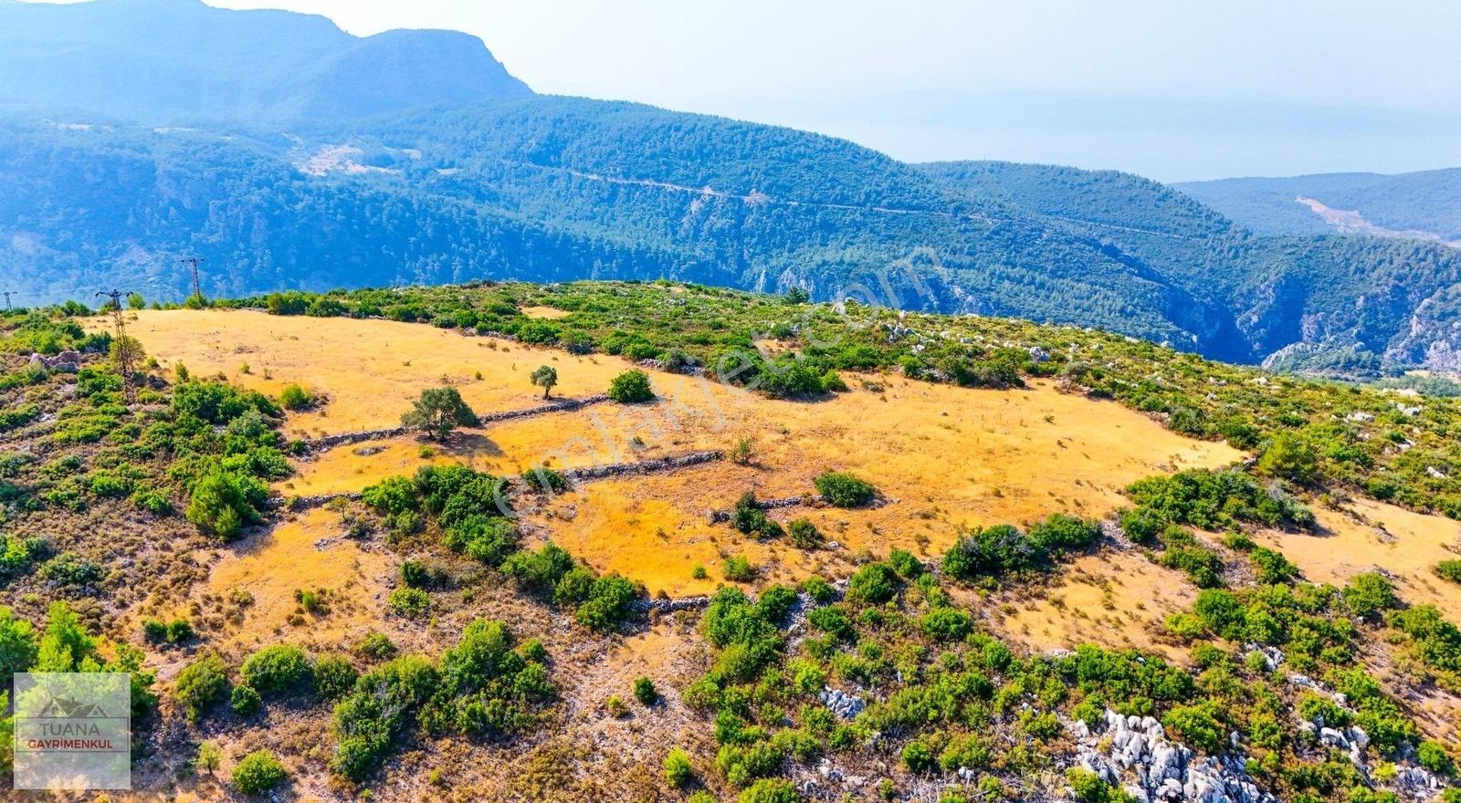 Tuana Gayrimenkul'den Menteşe Zeytinköy'de 12711m² Tarla - Görsel 14