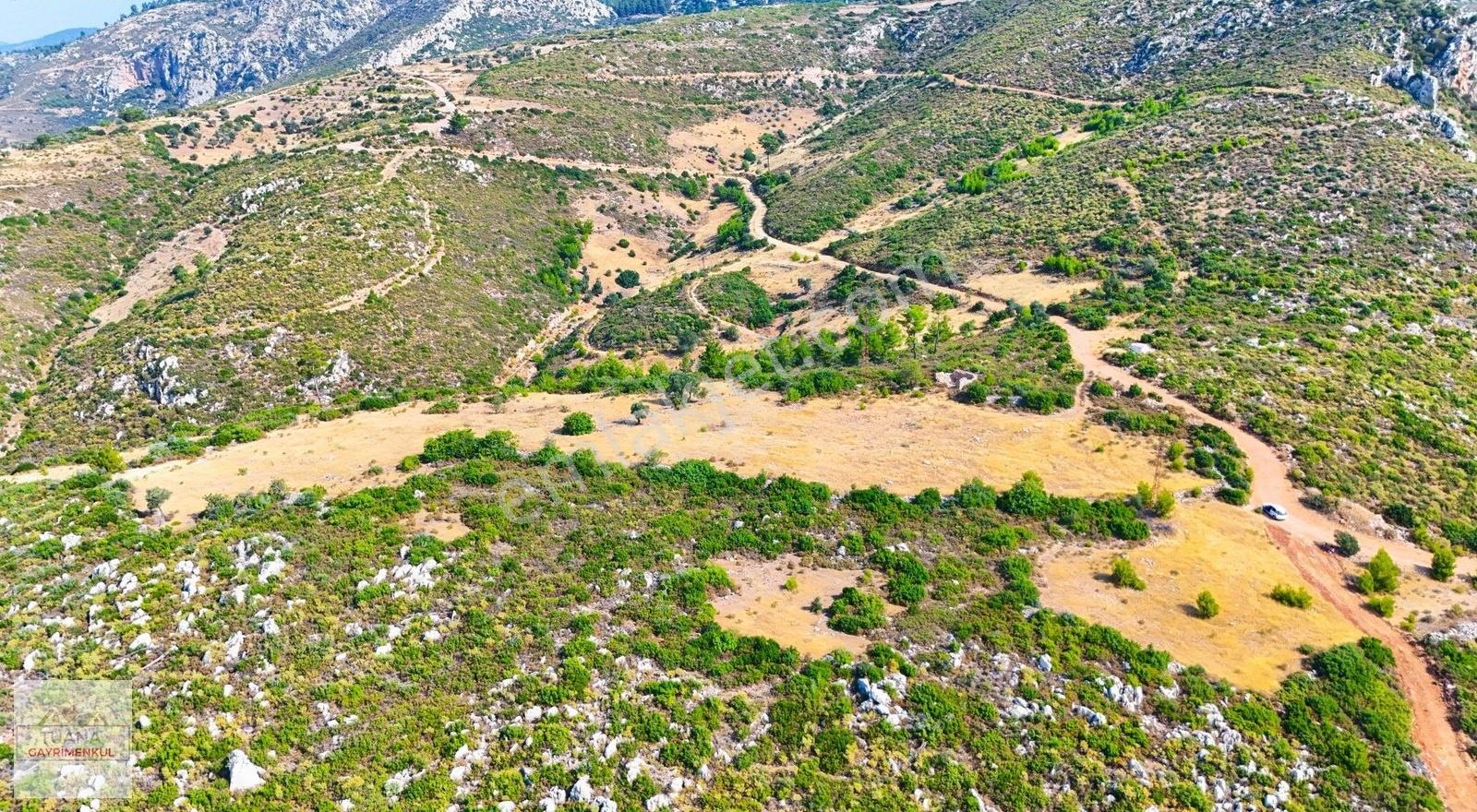 Tuana Gayrimenkul'den Menteşe Zeytinköy'de 12711m² Tarla - Görsel 28