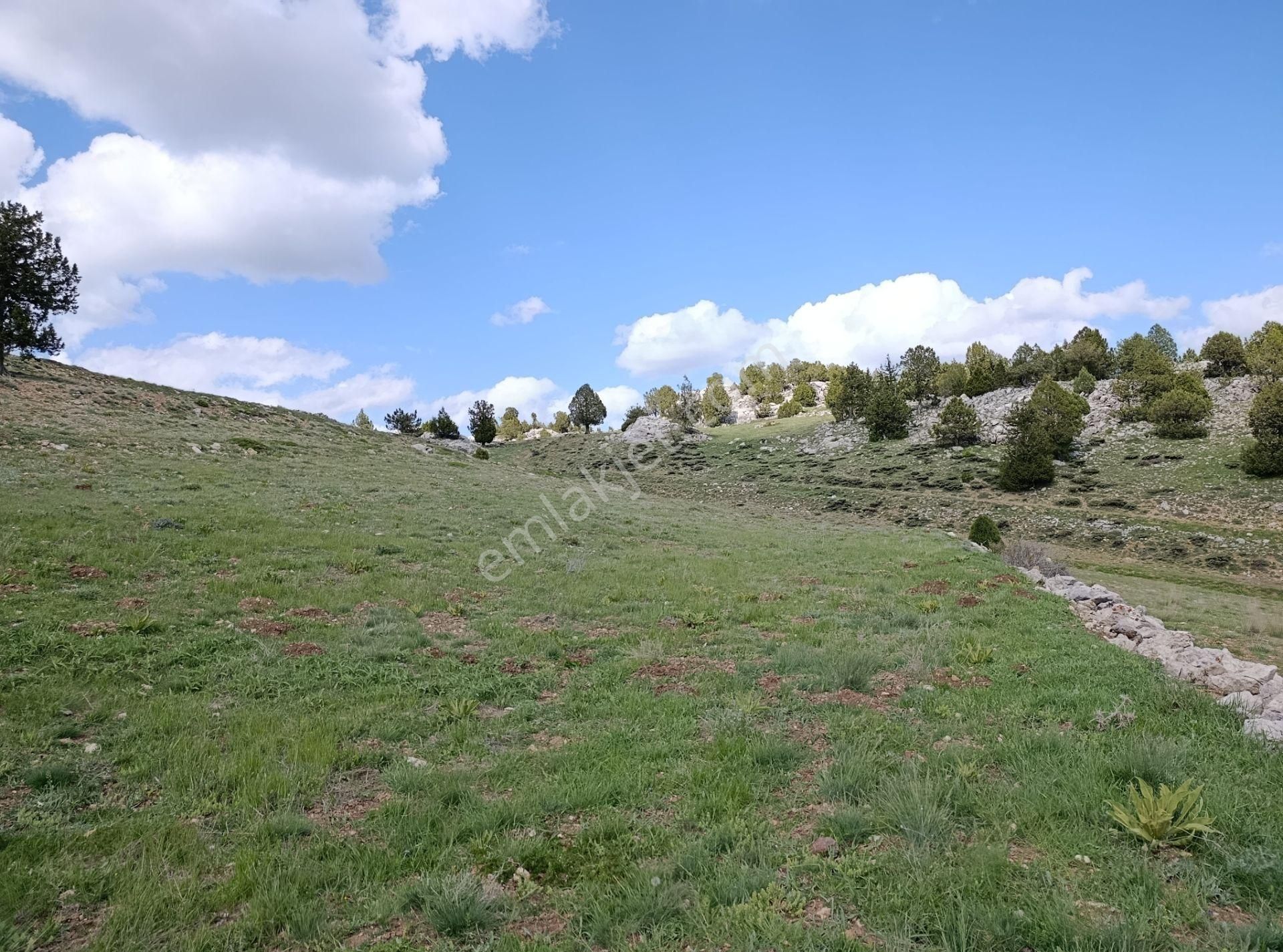 🦋lobby Fortis'ten Satılık Çameli Çiğdemli'de 2505 M² Tarla🦋