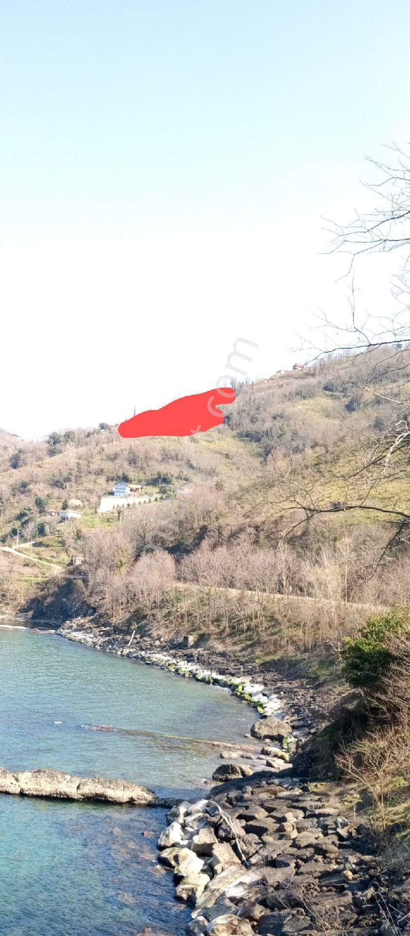 Hoynat Adası Manzaralı Perşembe Ramazan Mahallesinde Satılık İmarlı Bahçe. - Görsel 8