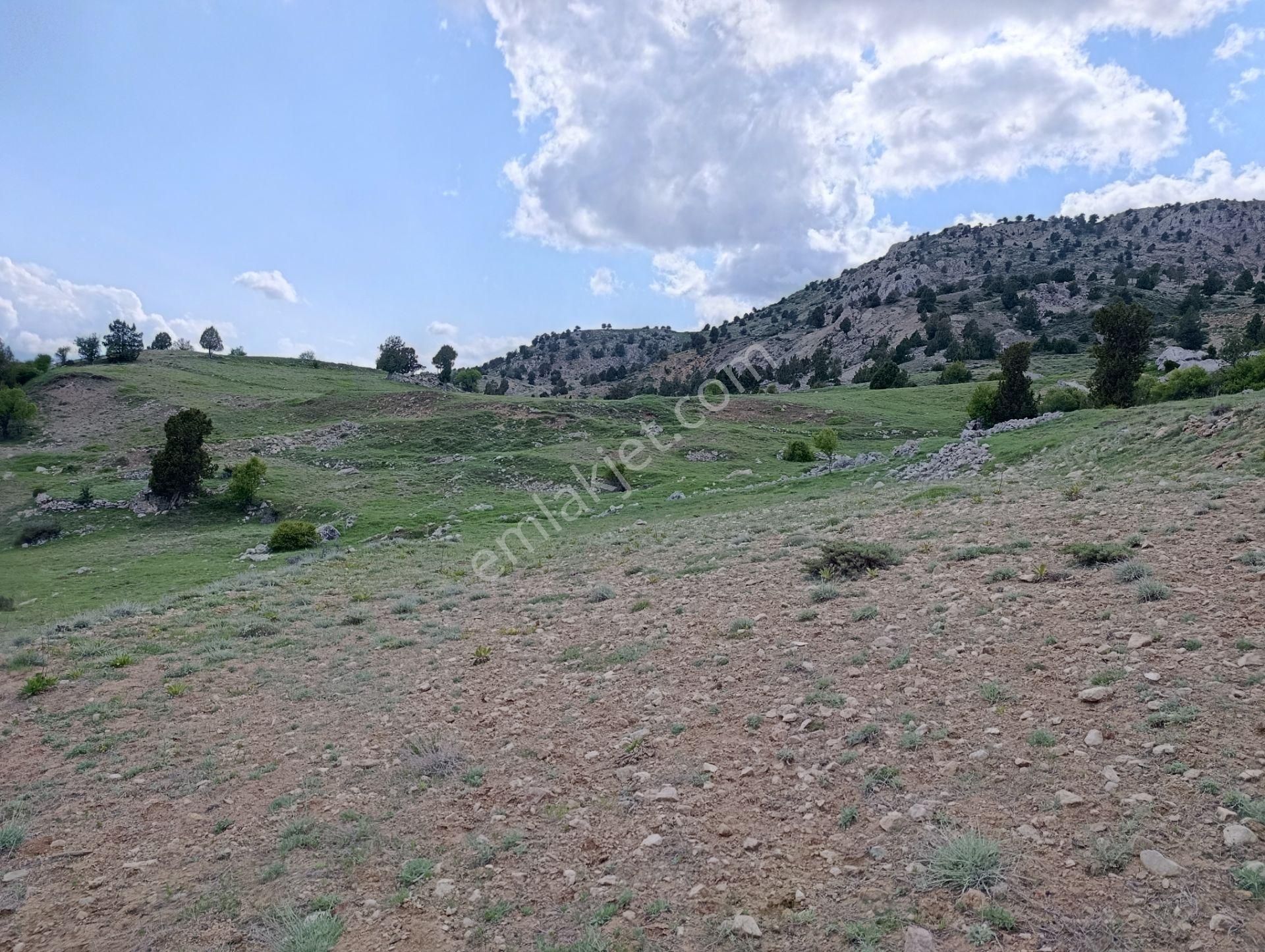 🦋lobby Fortis'ten Satılık Çameli Çiğdemli'de 3404 M² Tarla🦋