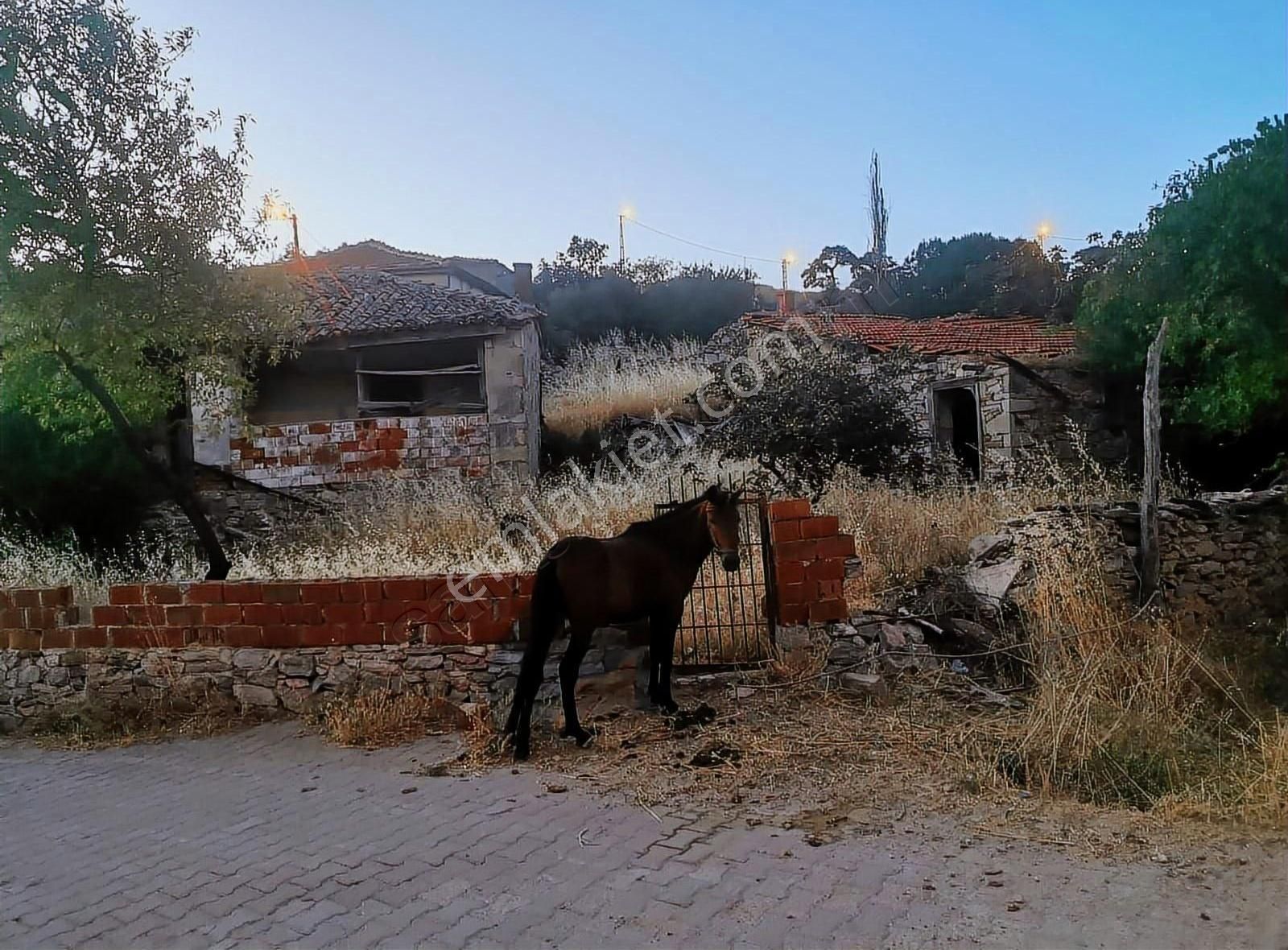Gömeç Köy Emlâk Taş Ev Satışa Sunulmuştur. - Görsel 2
