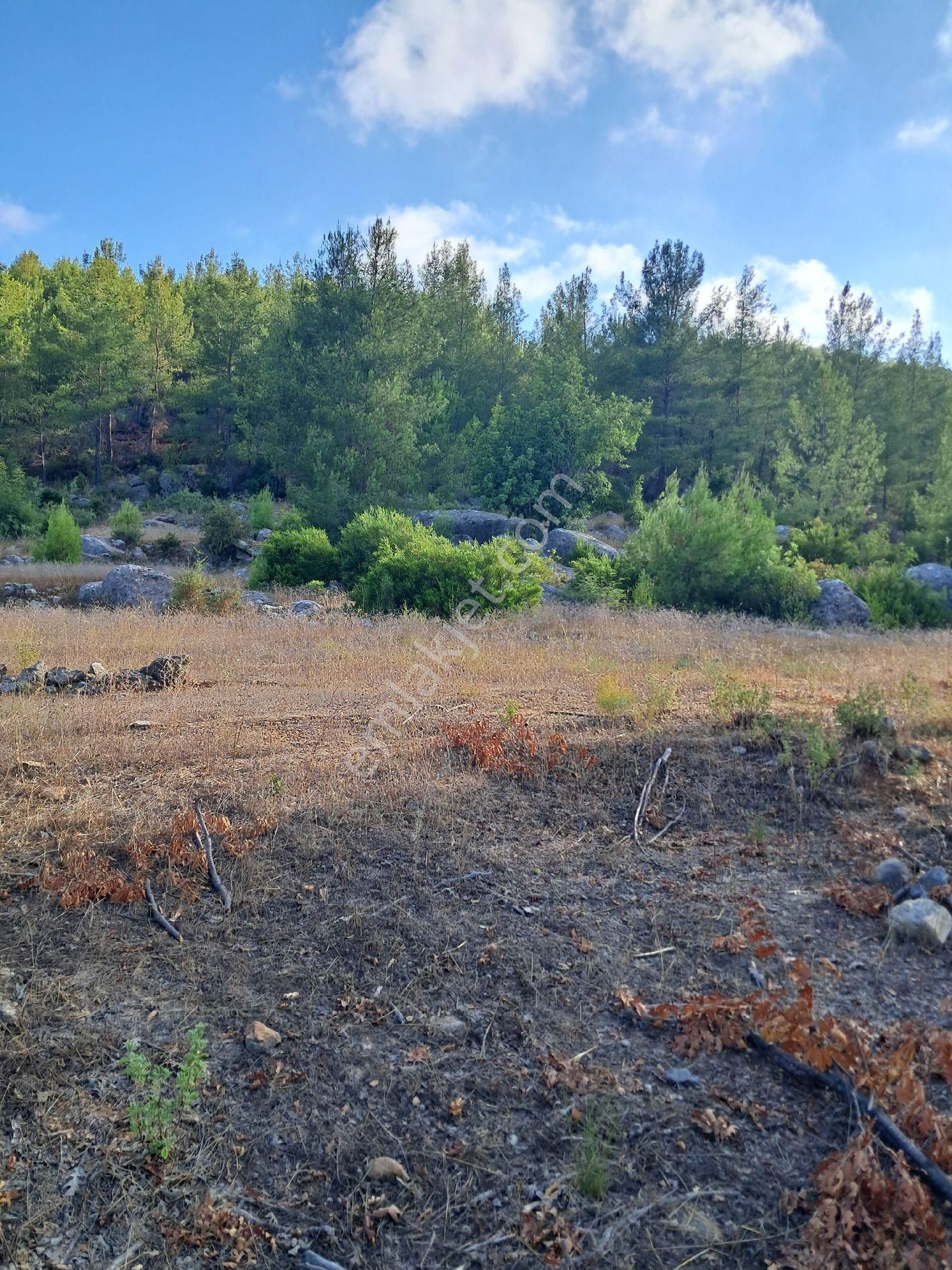 875 M² Yerimiz Satılıktır - Görsel 4