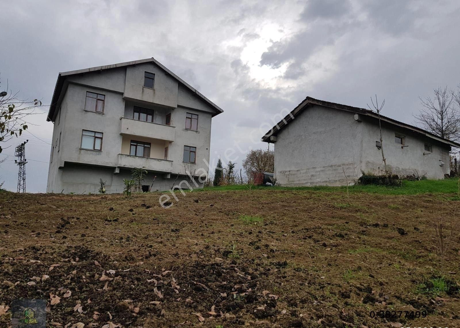 Yeşil Emlak Ve Gayrimenkulden Şehoglu Köyünde Satılık Bina