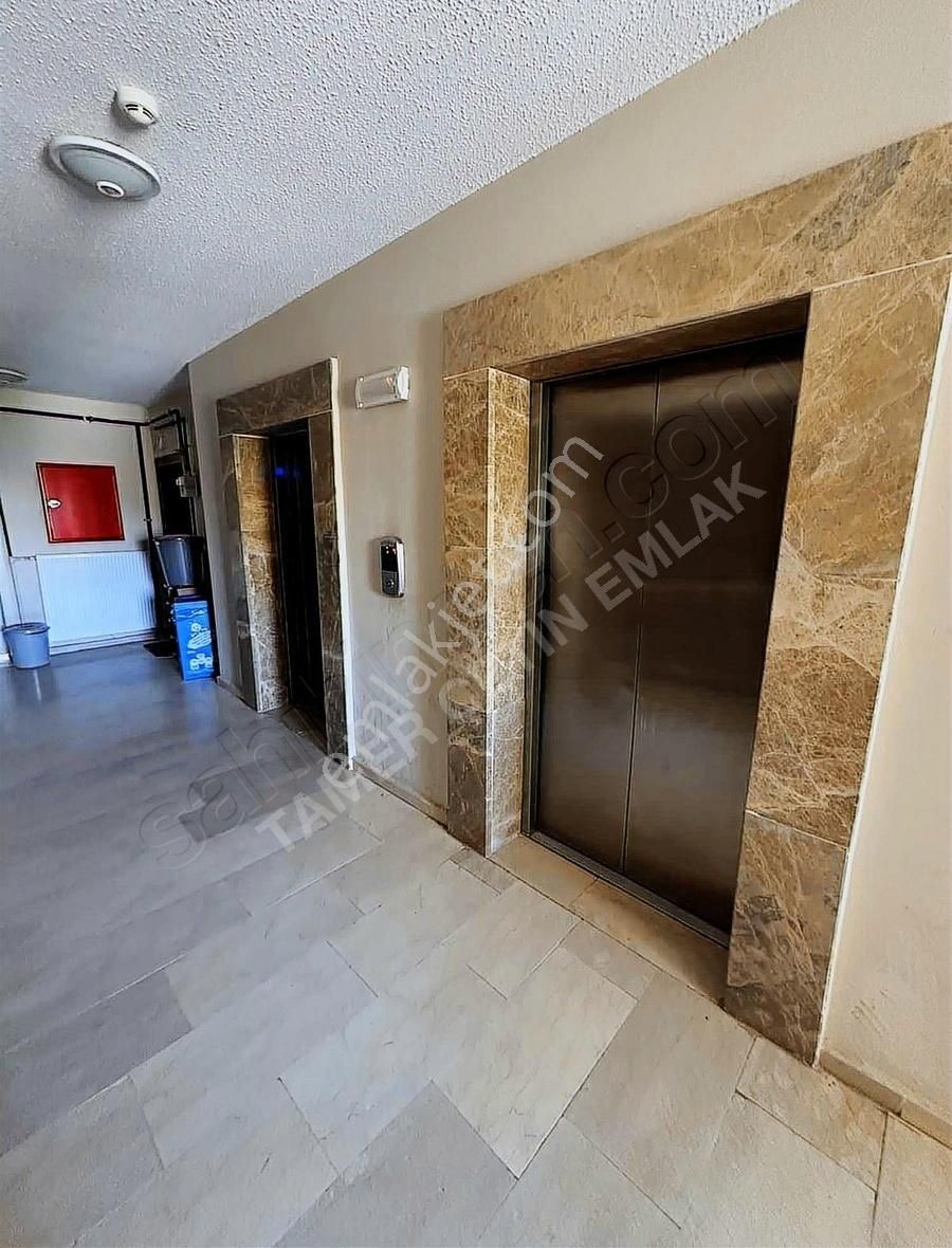 Tokide Kiralık
