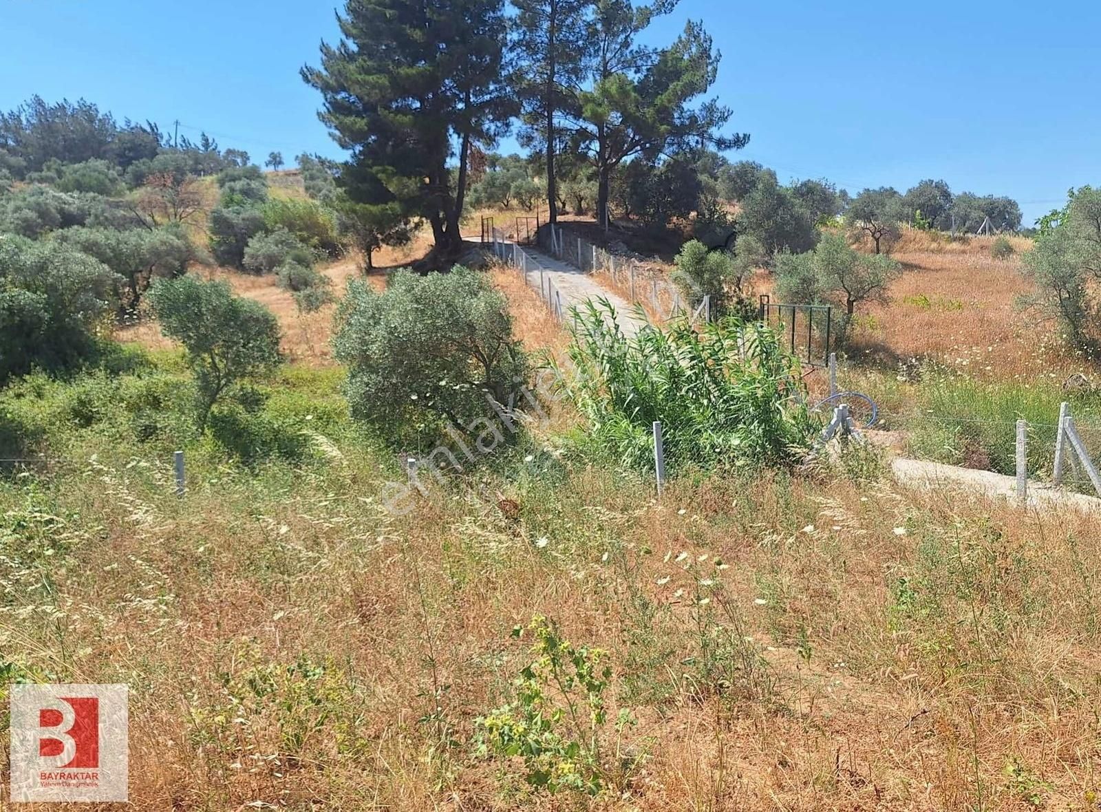 Kemalpaşa Aşağı Kızılca'da 1238 M2 Satılık Paylı Mülkiyet Bağ - Görsel 6