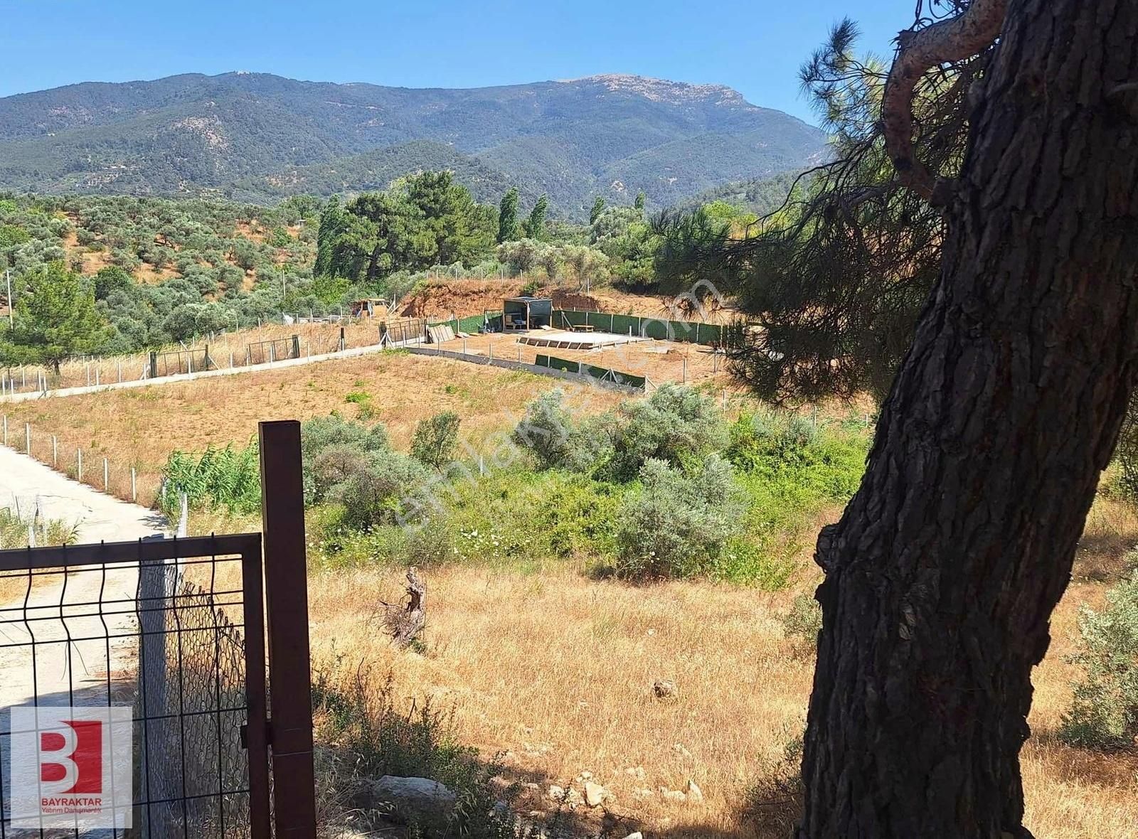 Kemalpaşa Aşağı Kızılca'da 1238 M2 Satılık Paylı Mülkiyet Bağ - Görsel 7