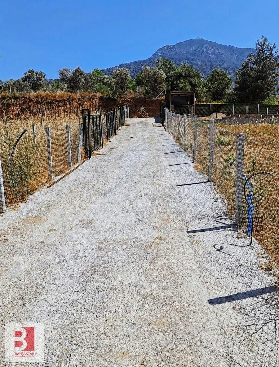 Kemalpaşa Aşağı Kızılca'da 1238 M2 Satılık Paylı Mülkiyet Bağ - Görsel 5