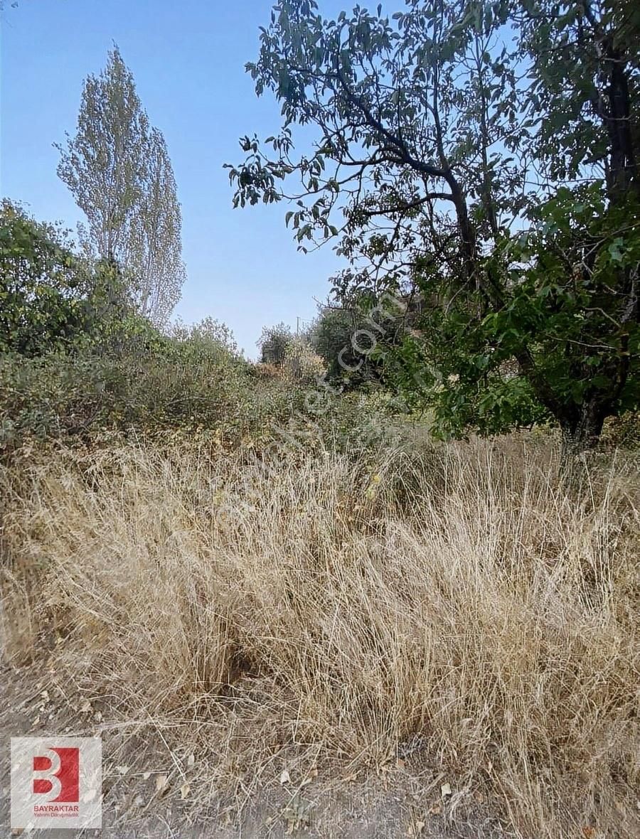 Kemalpaşa Kızılüzüm'de Tek Tapu 964 M2 Satılık Bahçe - Görsel 2