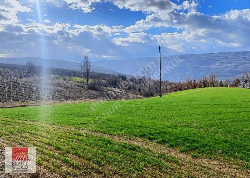 Burak Solmaz'dan Manzaralı Satılık Tarla 6.820m² Yol Ve Suyu Var