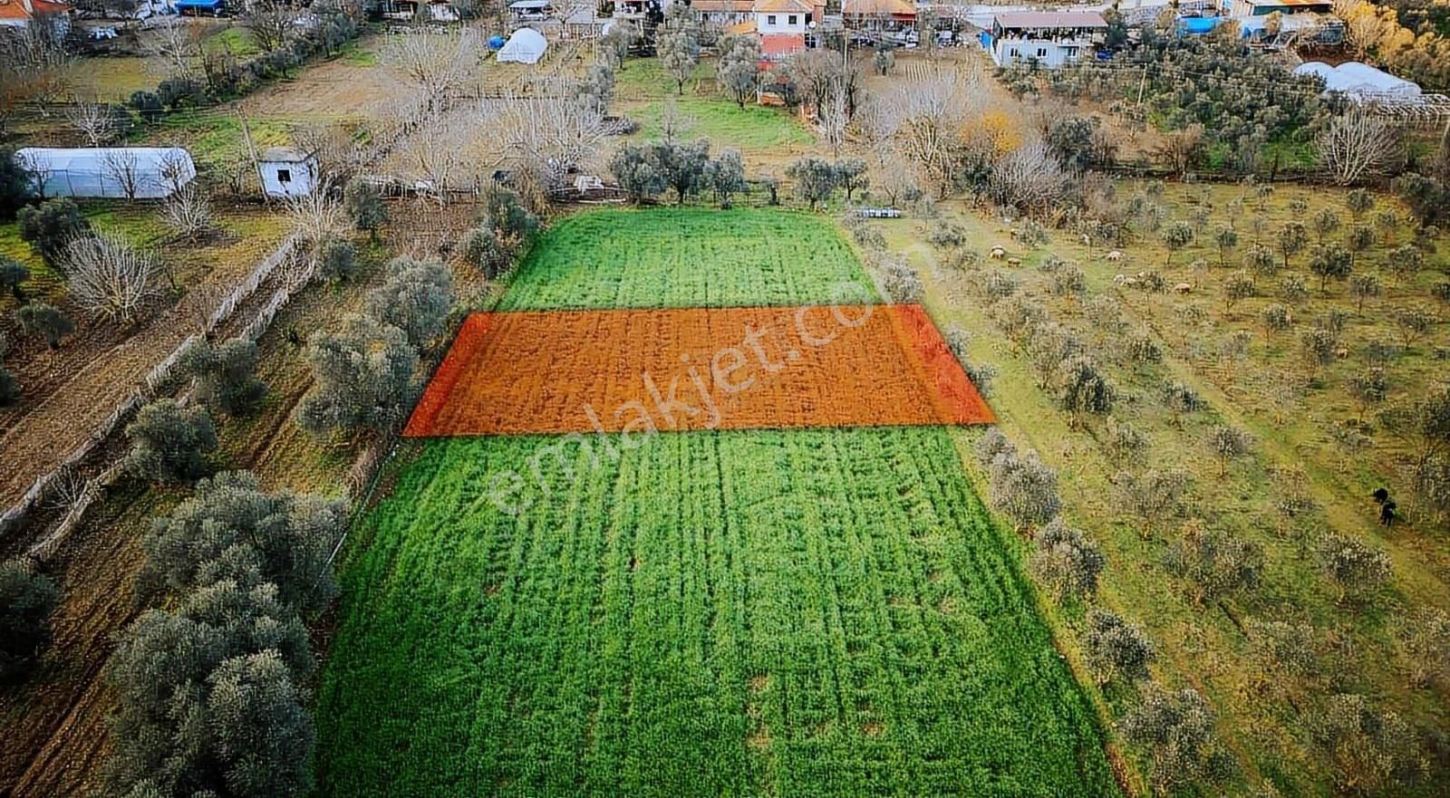 Muğla Kafacada 30/60 İmarlı Harika Parsel - Görsel 11