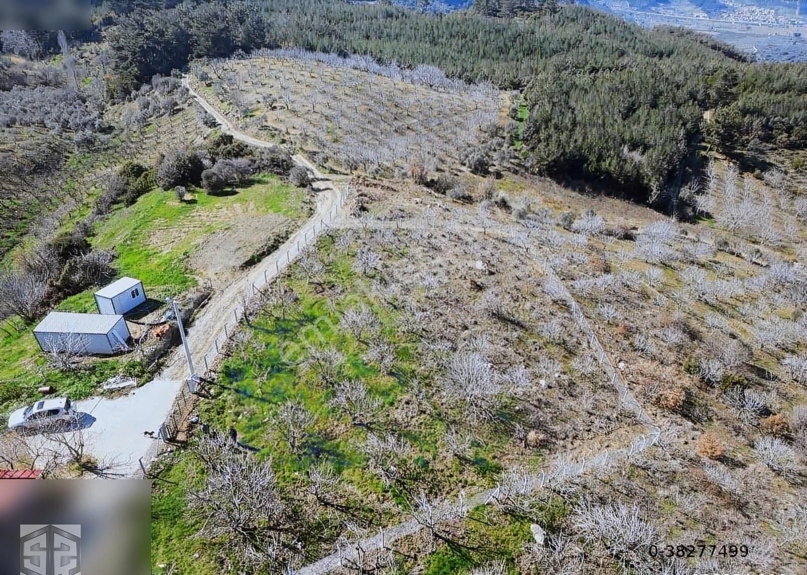 İzmir Selçuk Kireççili Köyünde Manzaralı İncir Bahcesi 1640 M2 - Görsel 7