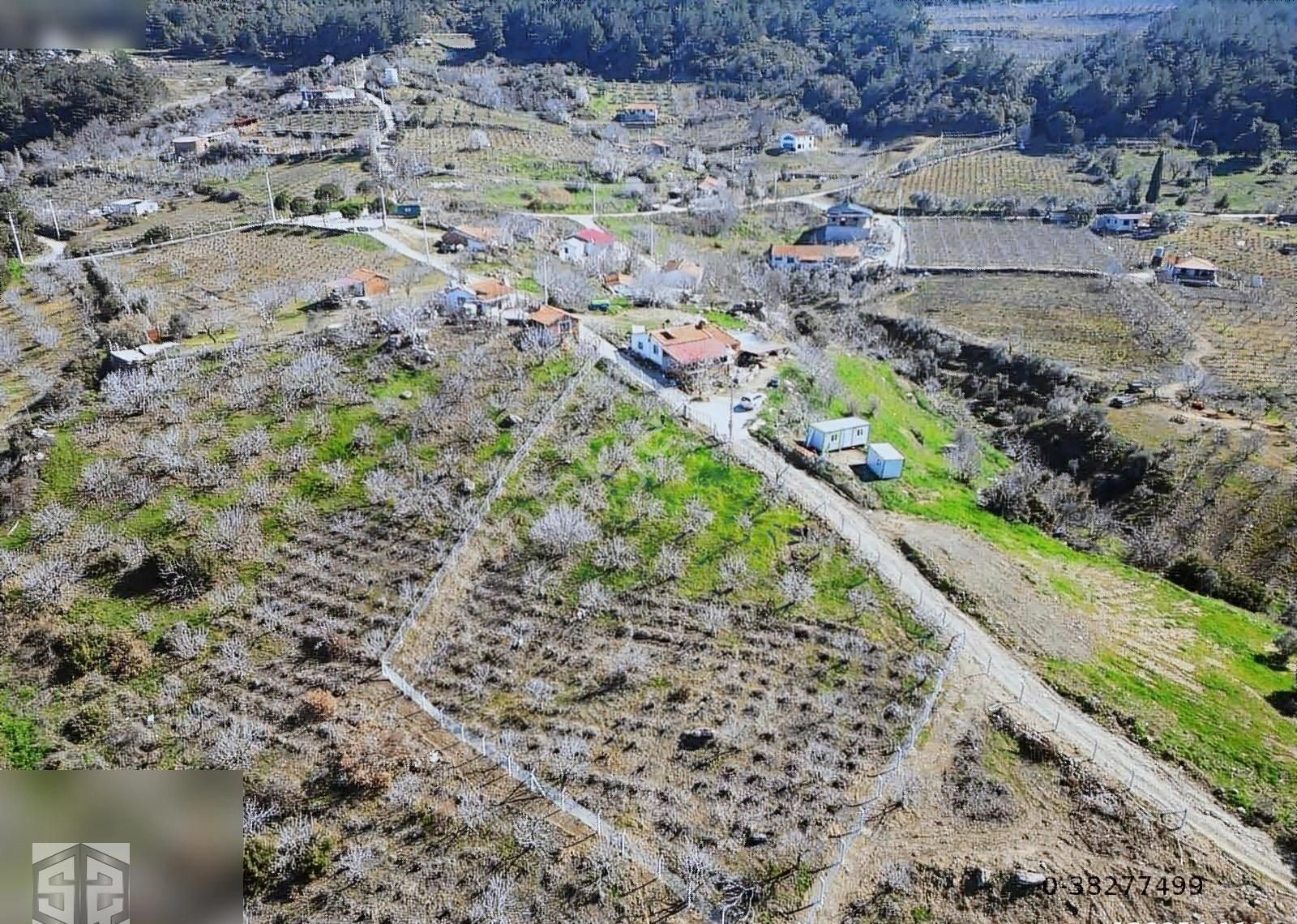 İzmir Selçuk Kireççili Köyünde Manzaralı İncir Bahcesi 1640 M2 - Görsel 13