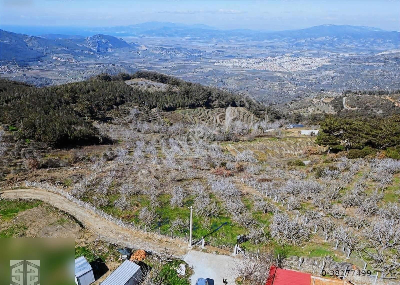 İzmir Selçuk Kireççili Köyünde Manzaralı İncir Bahcesi 1640 M2 - Görsel 12