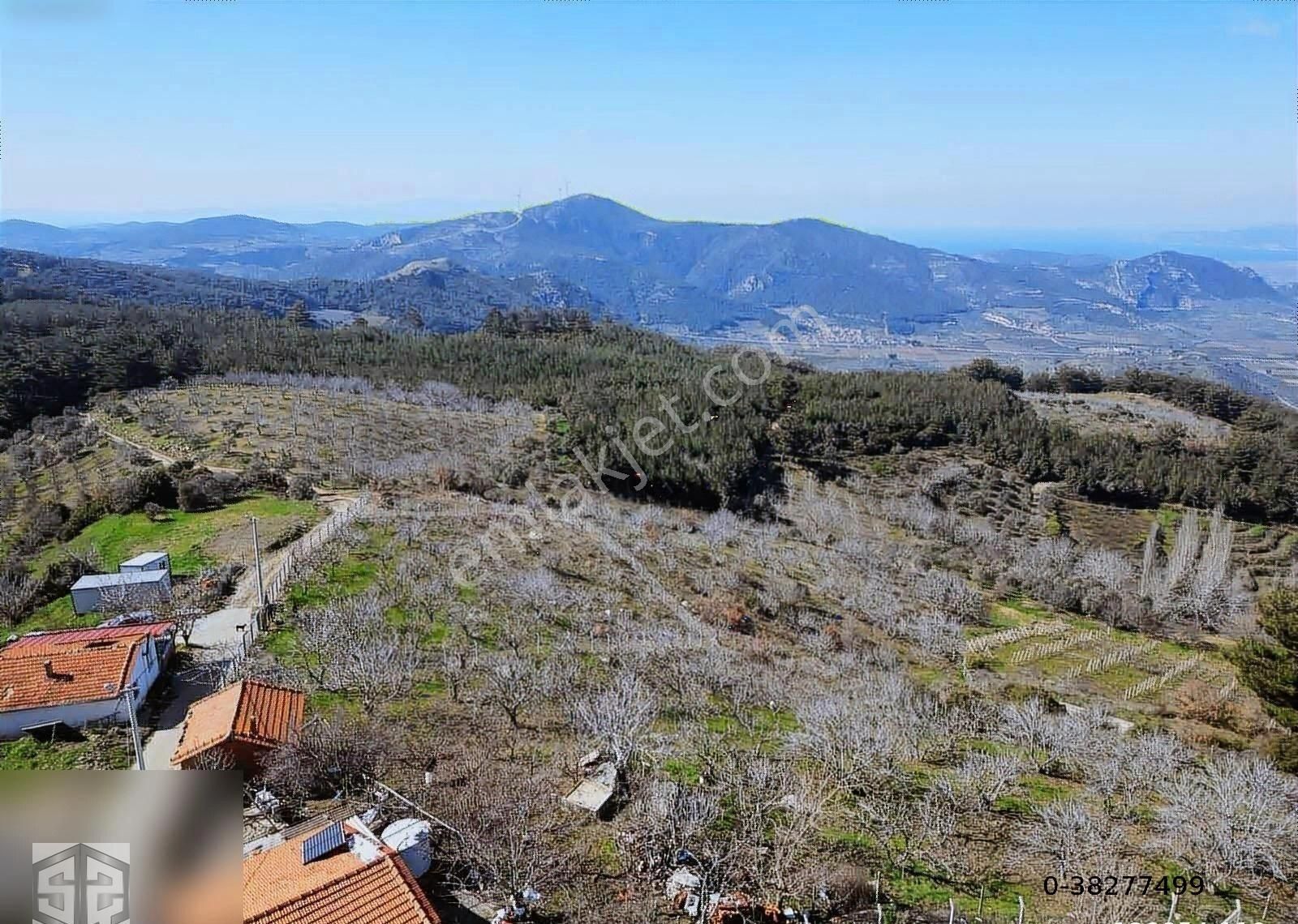 İzmir Selçuk Kireççili Köyünde Manzaralı İncir Bahcesi 1640 M2 - Görsel 4