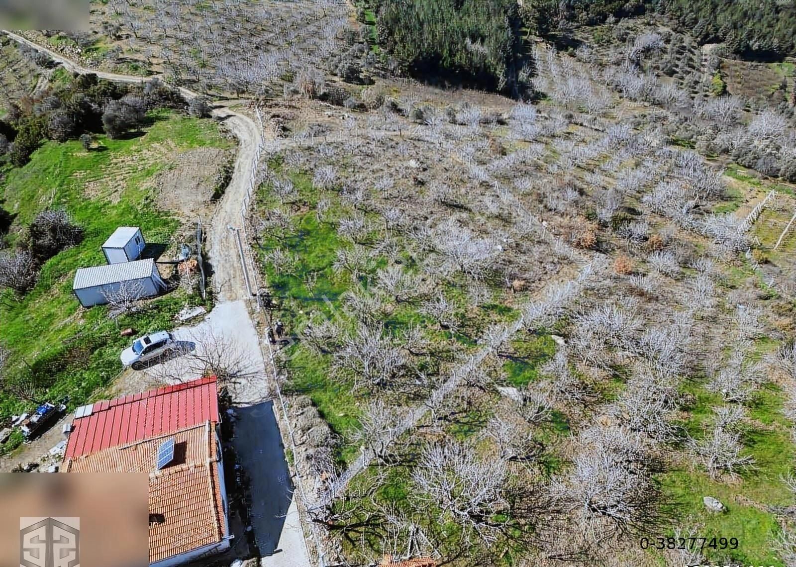 İzmir Selçuk Kireççili Köyünde Manzaralı İncir Bahcesi 1640 M2 - Görsel 10