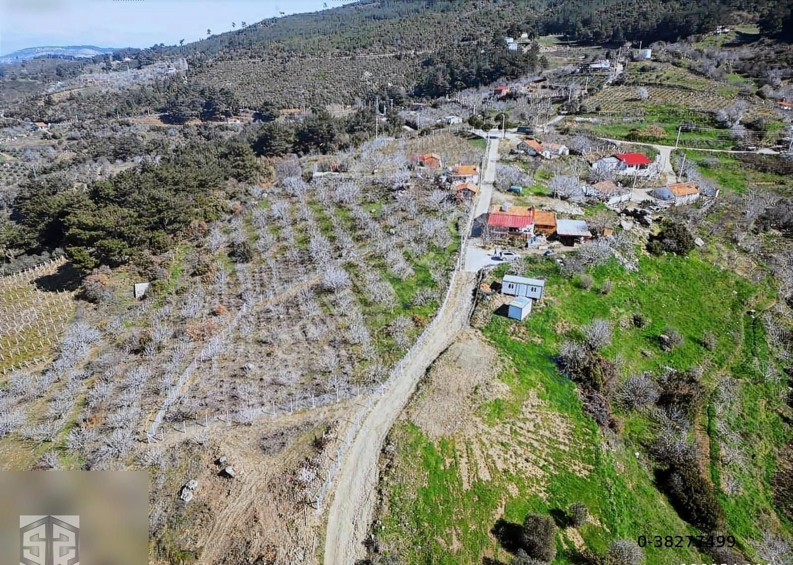 İzmir Selçuk Kireçili Köyünde Manzaralı İncir Bahcesi 1640 M2