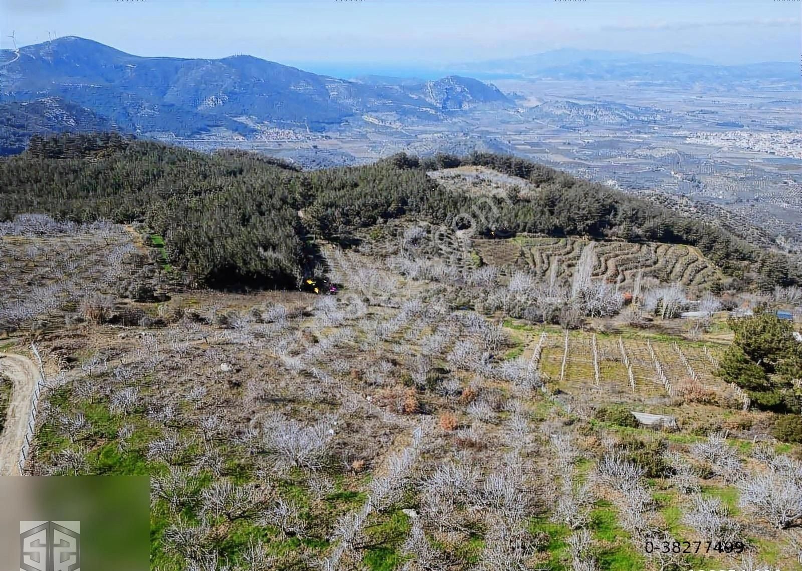 İzmir Selçuk Kireççili Köyünde Manzaralı İncir Bahcesi 1640 M2 - Görsel 6