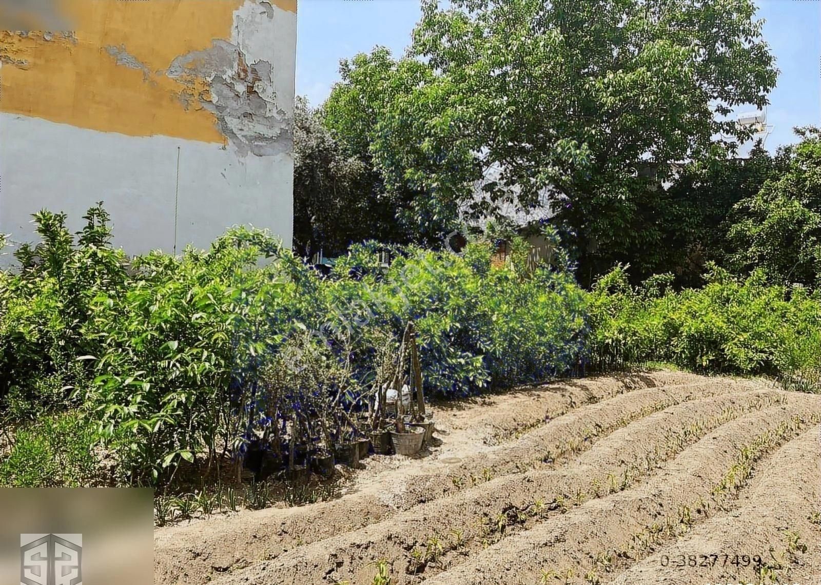 İzmir Selçuk Belevi Köyünde 223 M2 İmarlı Arsa