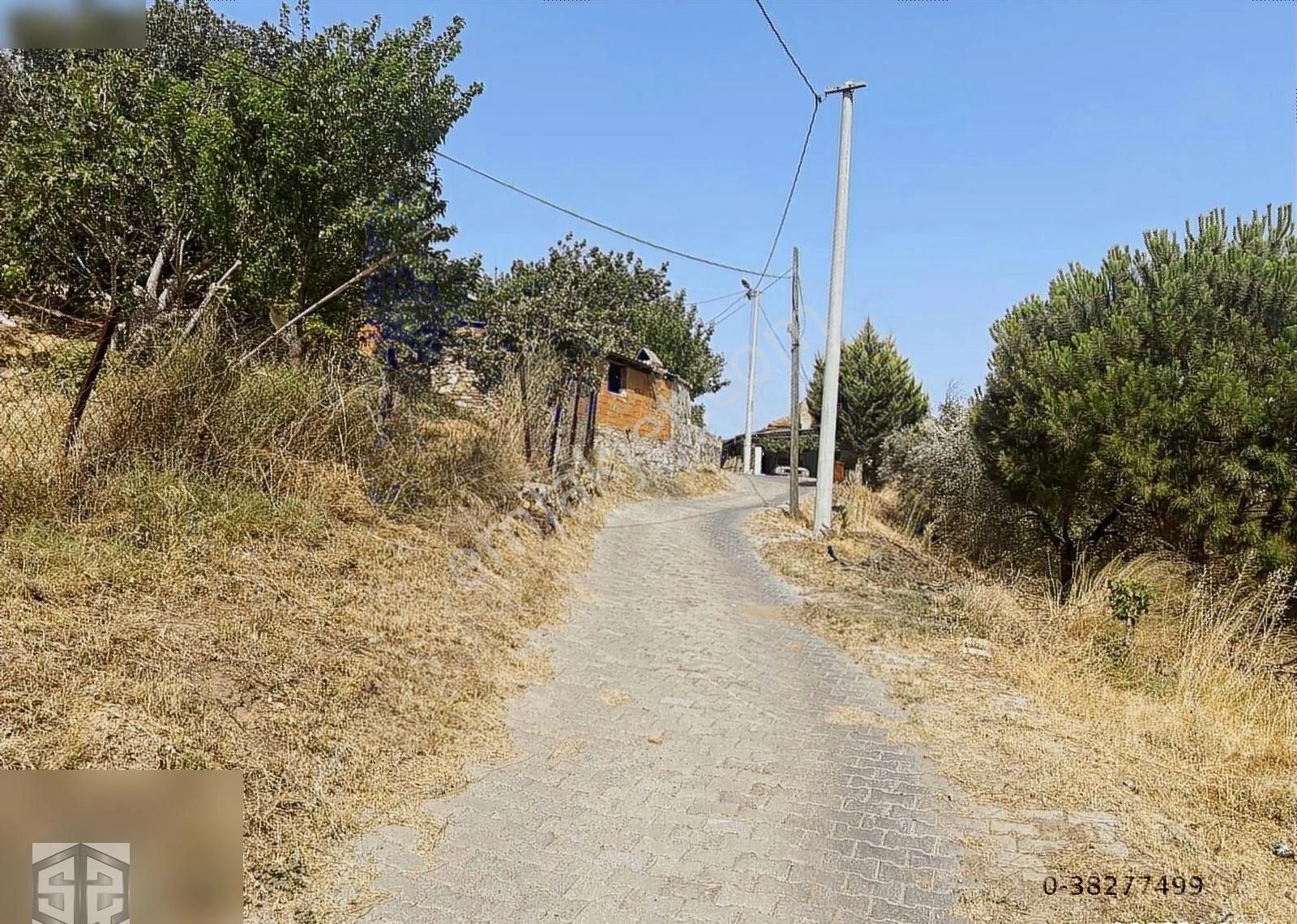 Aydın Germencik Selahattin Köyünde 400 M2 2000 M2
