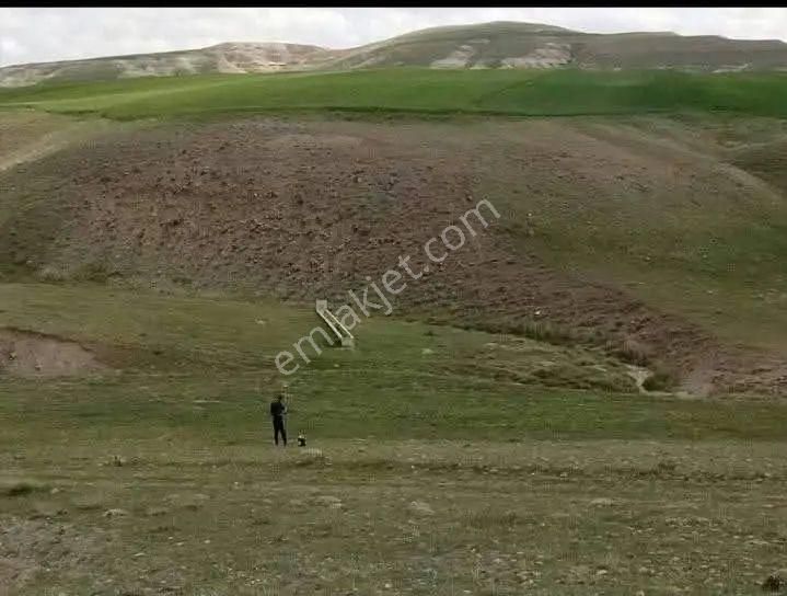Sahibinden Satılık Tarla Güdül Çağa 2.042